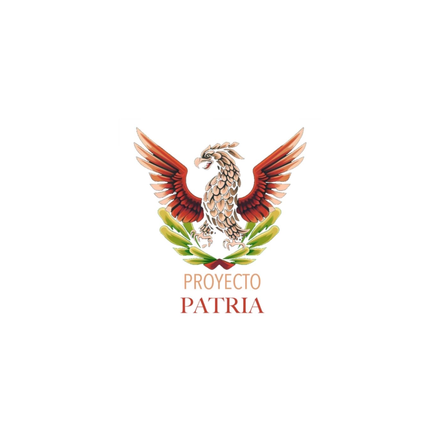 Proyecto Patria | RADIO