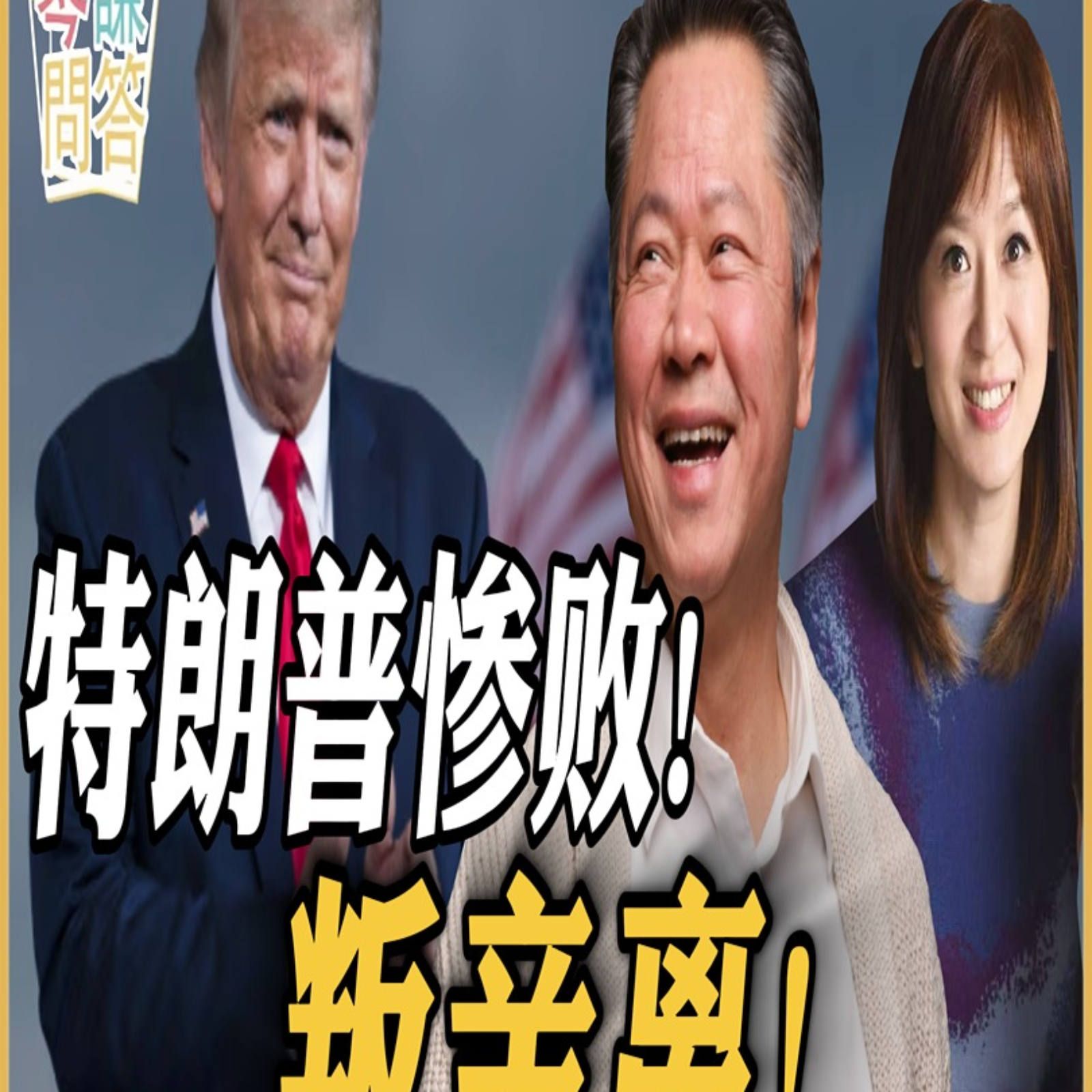 《琴问谦答》赖岳谦 周玉琴  | 特朗普惨败！众叛亲离！ episode artwork