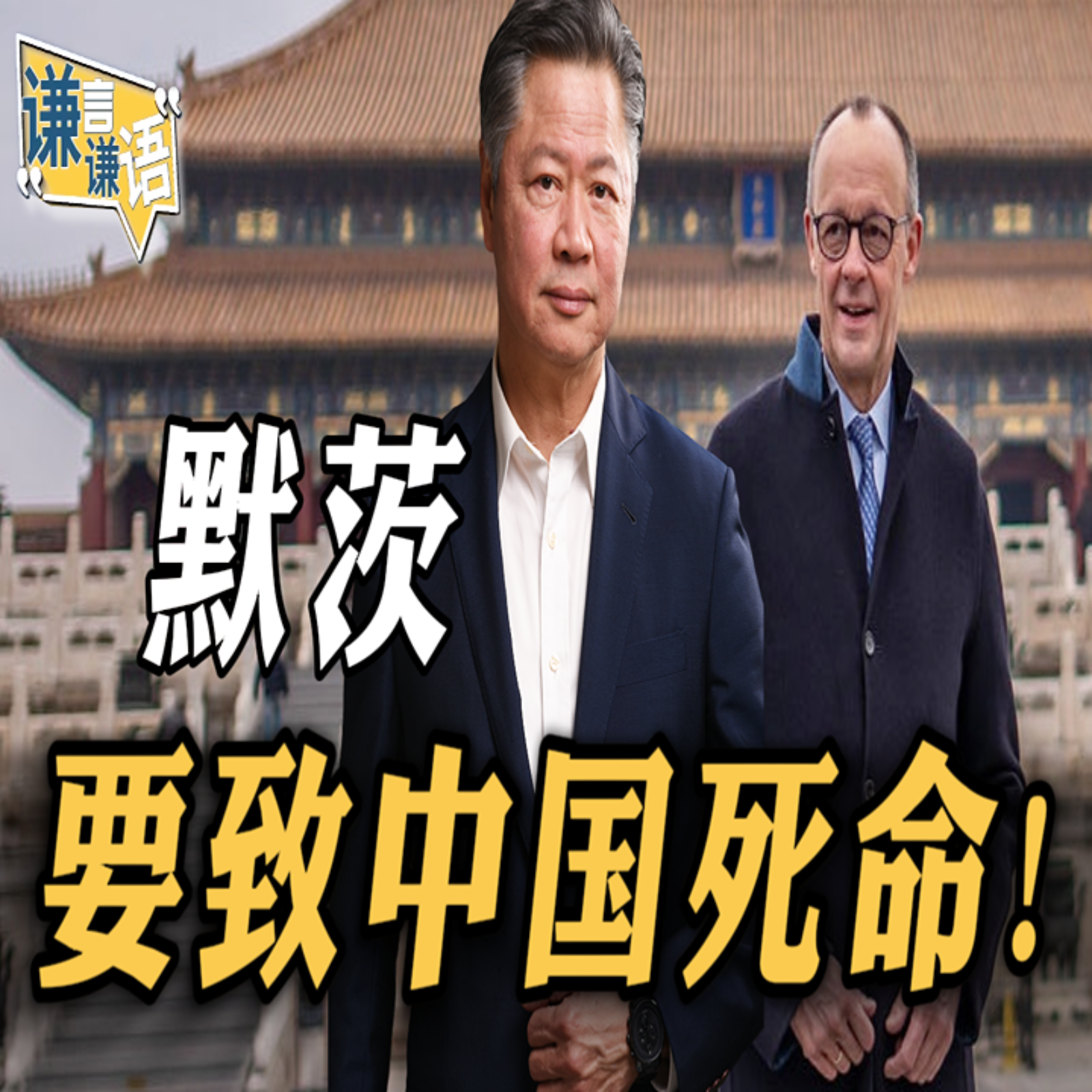 《谦言谦语》赖岳谦 公开版  | 默茨要致中国死命！