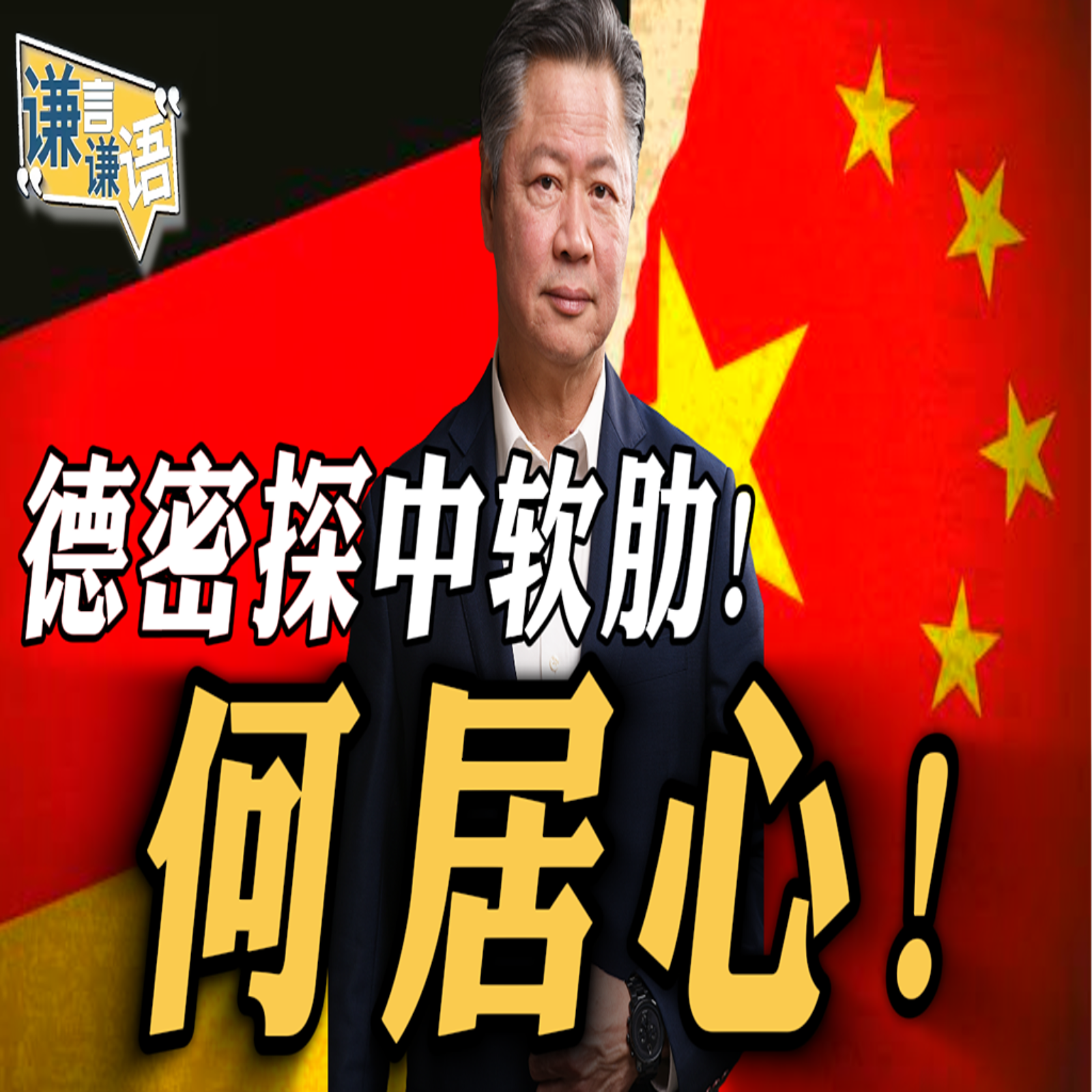 《谦言谦语》赖岳谦 公开版  | 德密探中软肋！何居心！