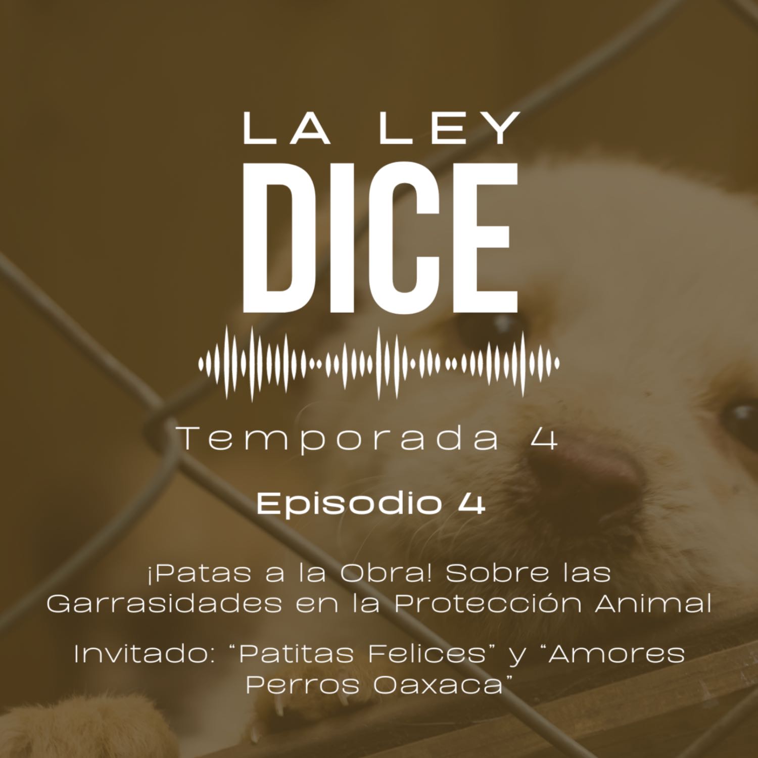 La Ley Dice