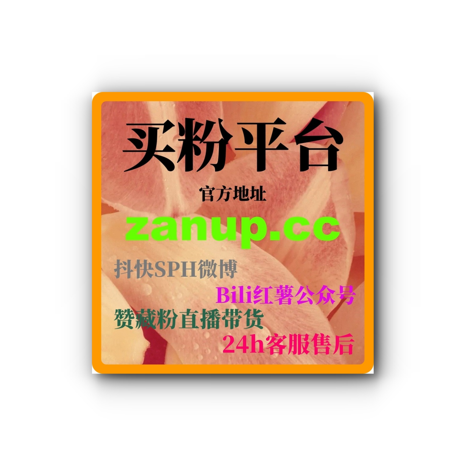 B站流量自助下单：如何去通过精准流量购买提升视频曝光与互动？ episode artwork
