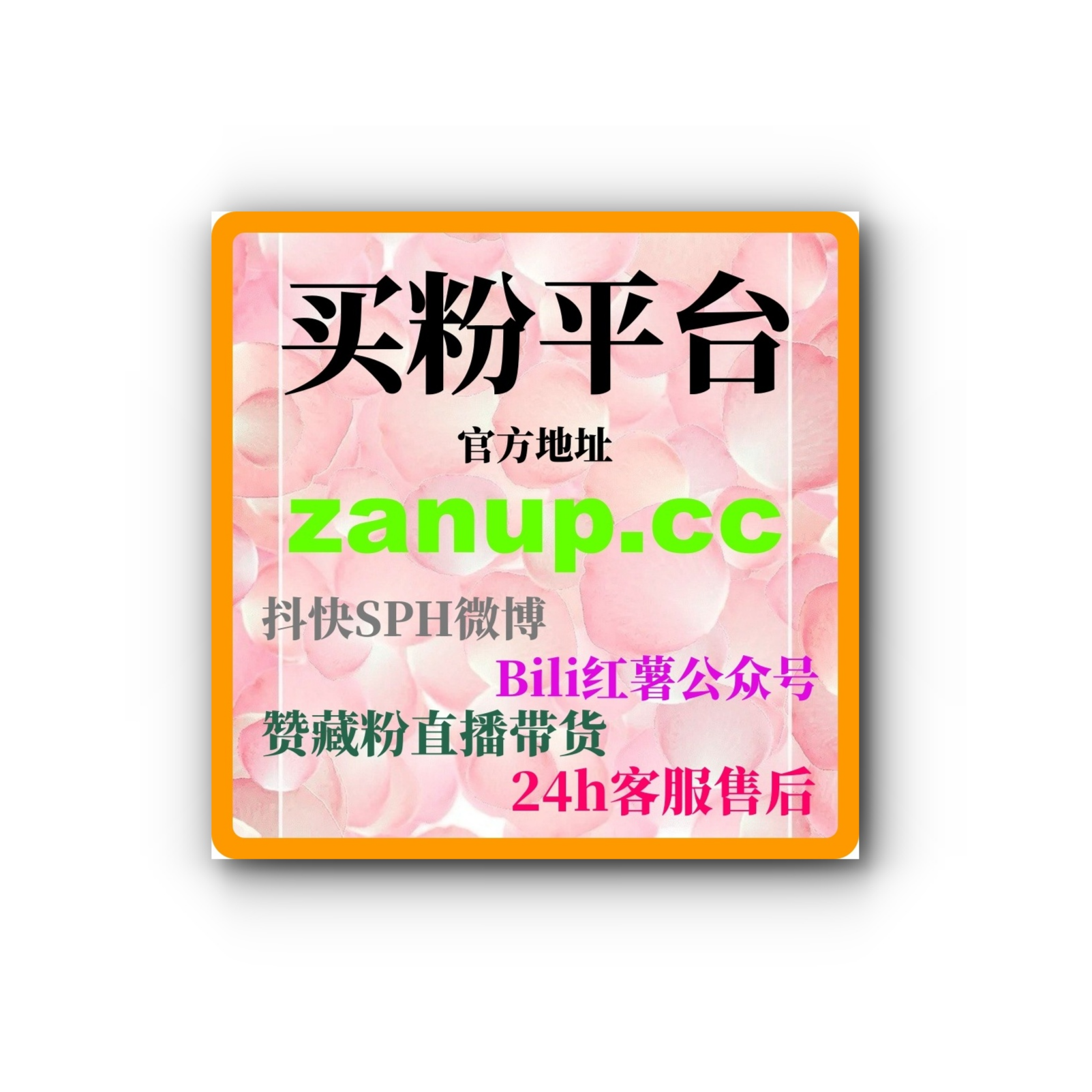 自助下单B站真人粉：如何通过购买真人粉提升账号的互动和曝光？ episode artwork