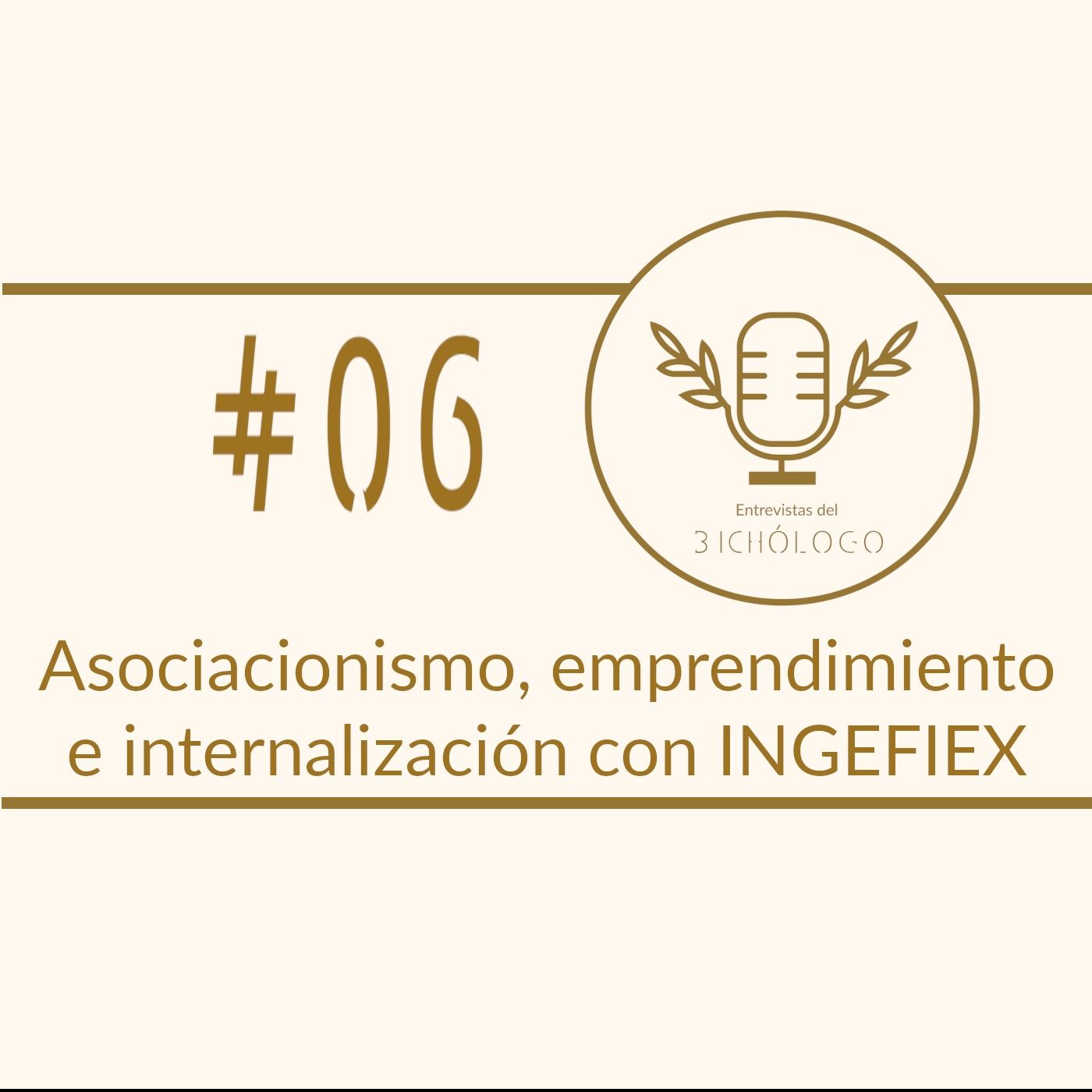 Asociacionismo, emprendimiento e internalización, con INGEFIEX