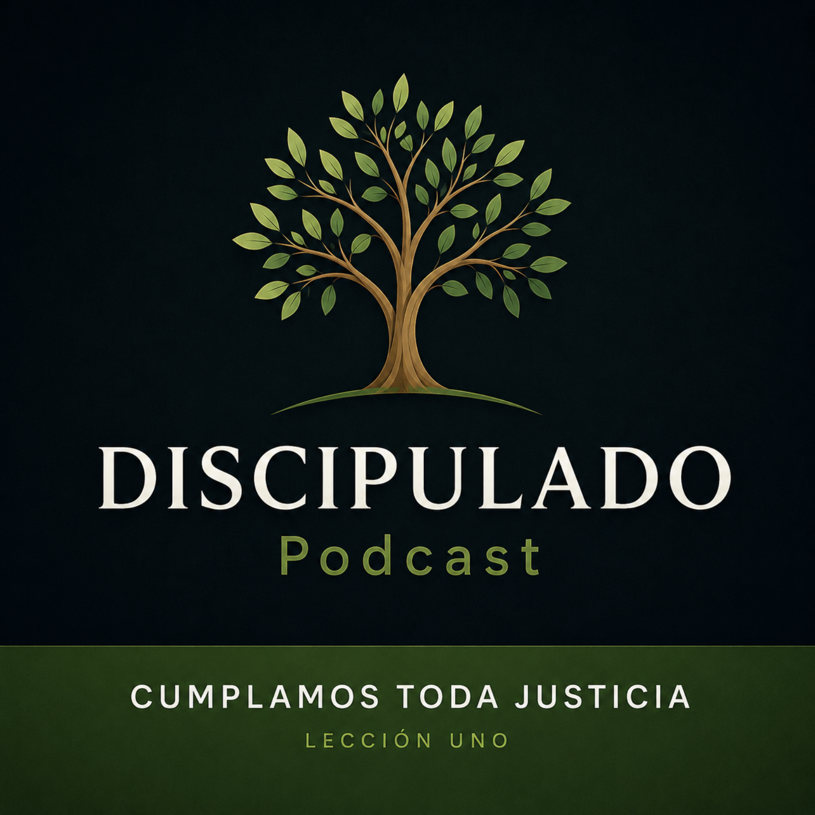 Lección 1 Cumplamos toda justicia episode artwork
