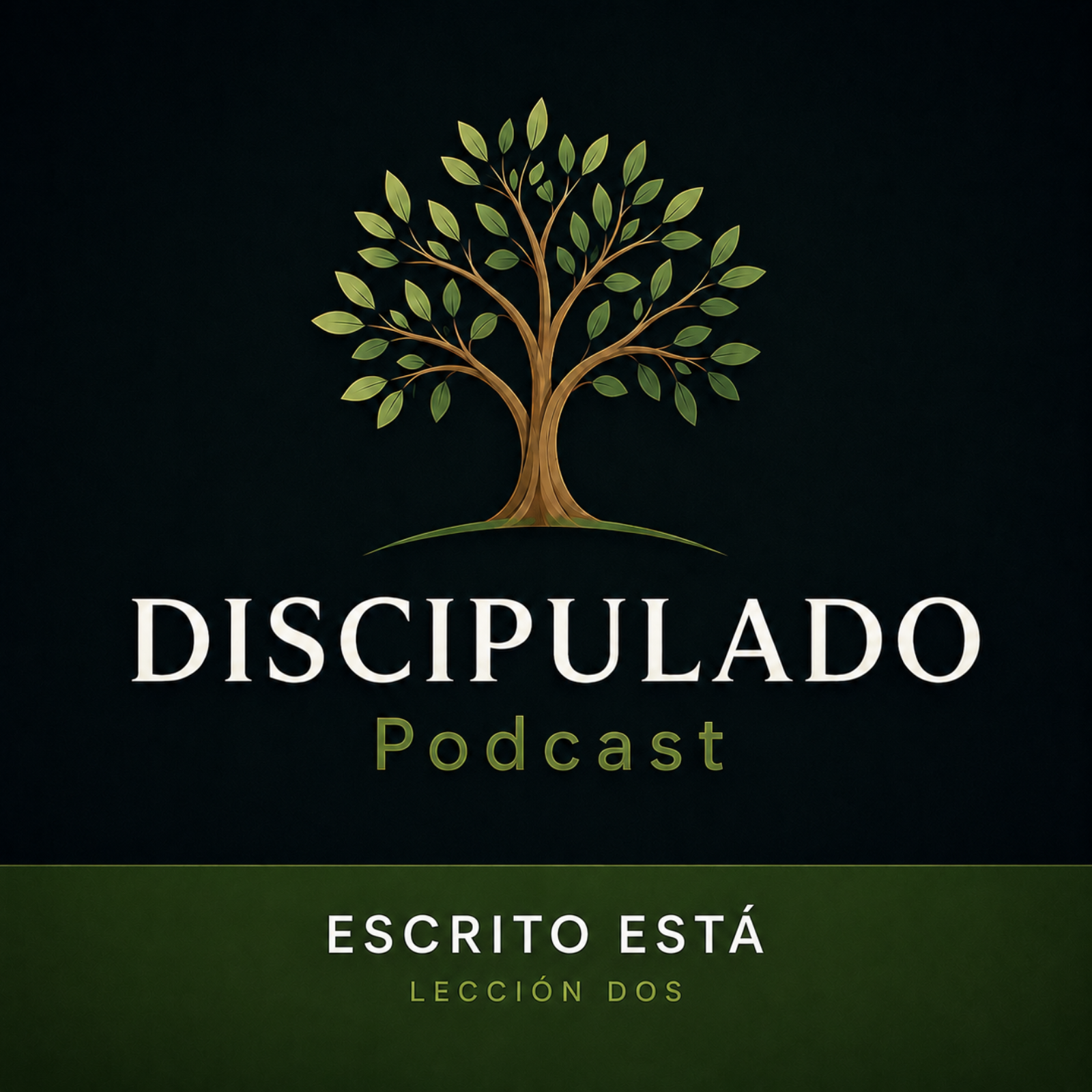 Lección 2 Escrito está episode artwork