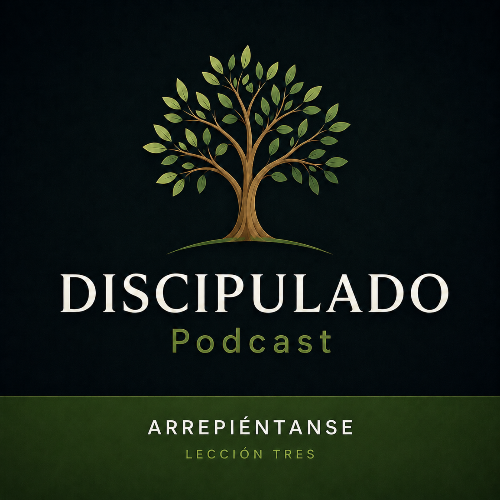 Lección 3 Arrepiéntanse episode artwork