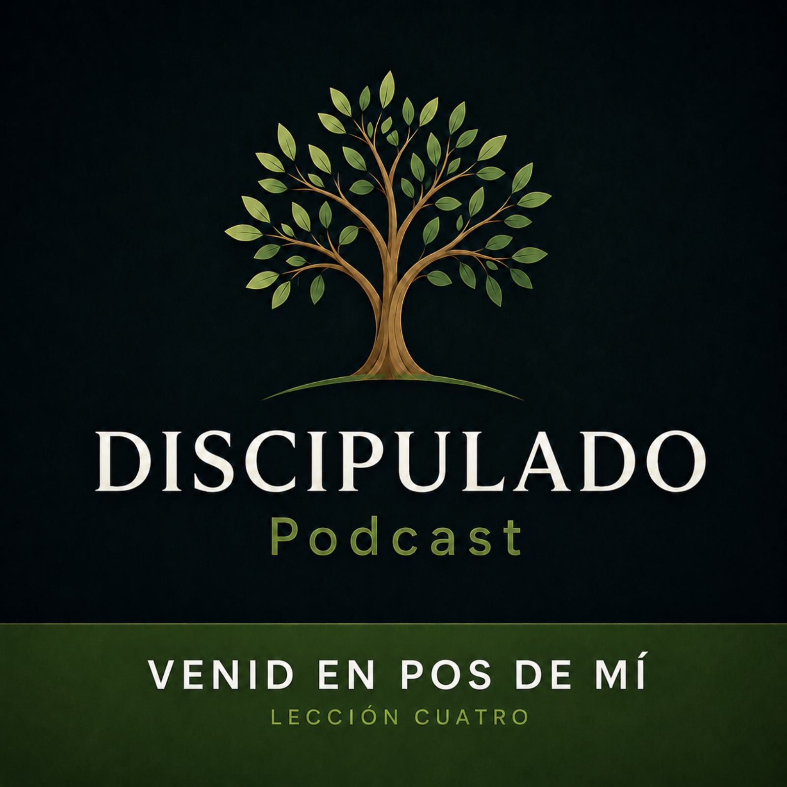 Lección 4 Venid en pos de mí episode artwork