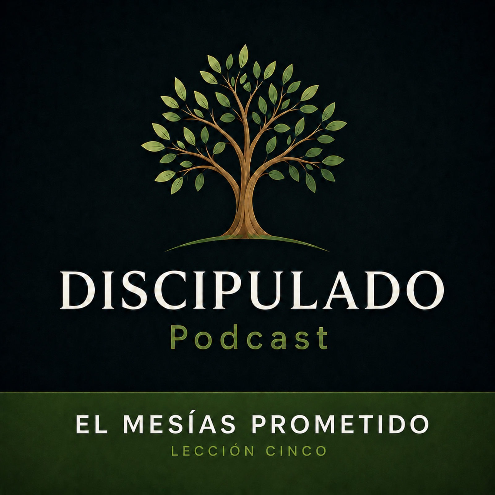 Lección 5 El Mesías prometido episode artwork