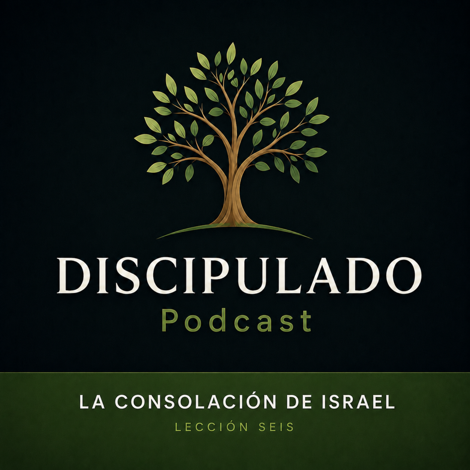 Lección 6 La consolación de Israel  episode artwork