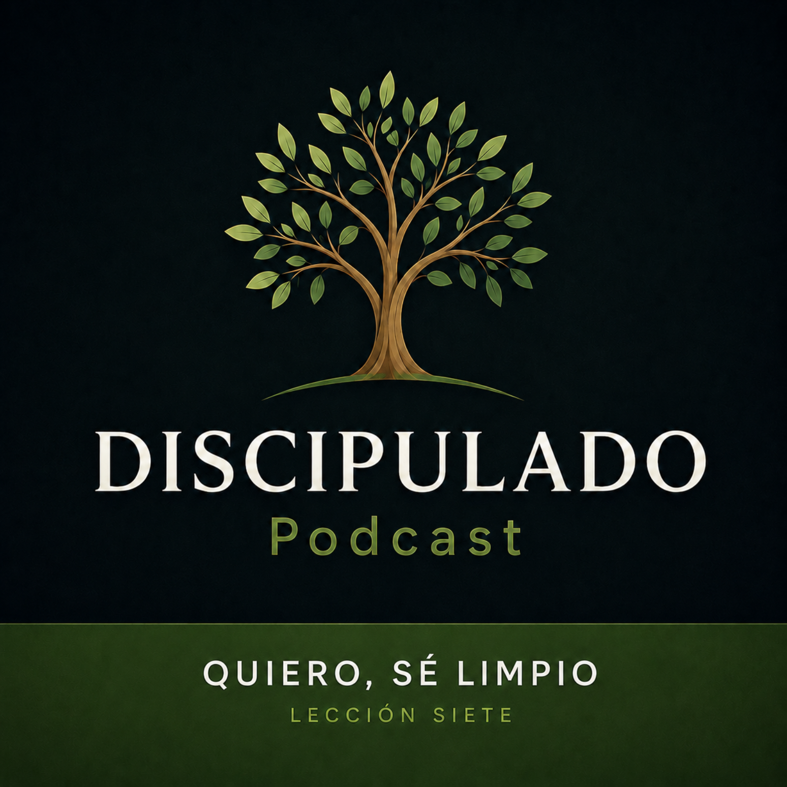 Lección 7 Quiero, sé limpio