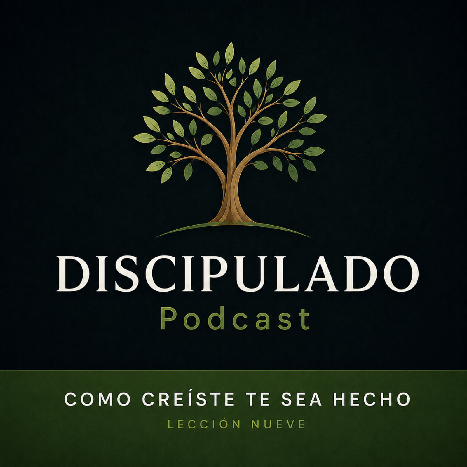 Lección 9 Como creíste te sea hecho