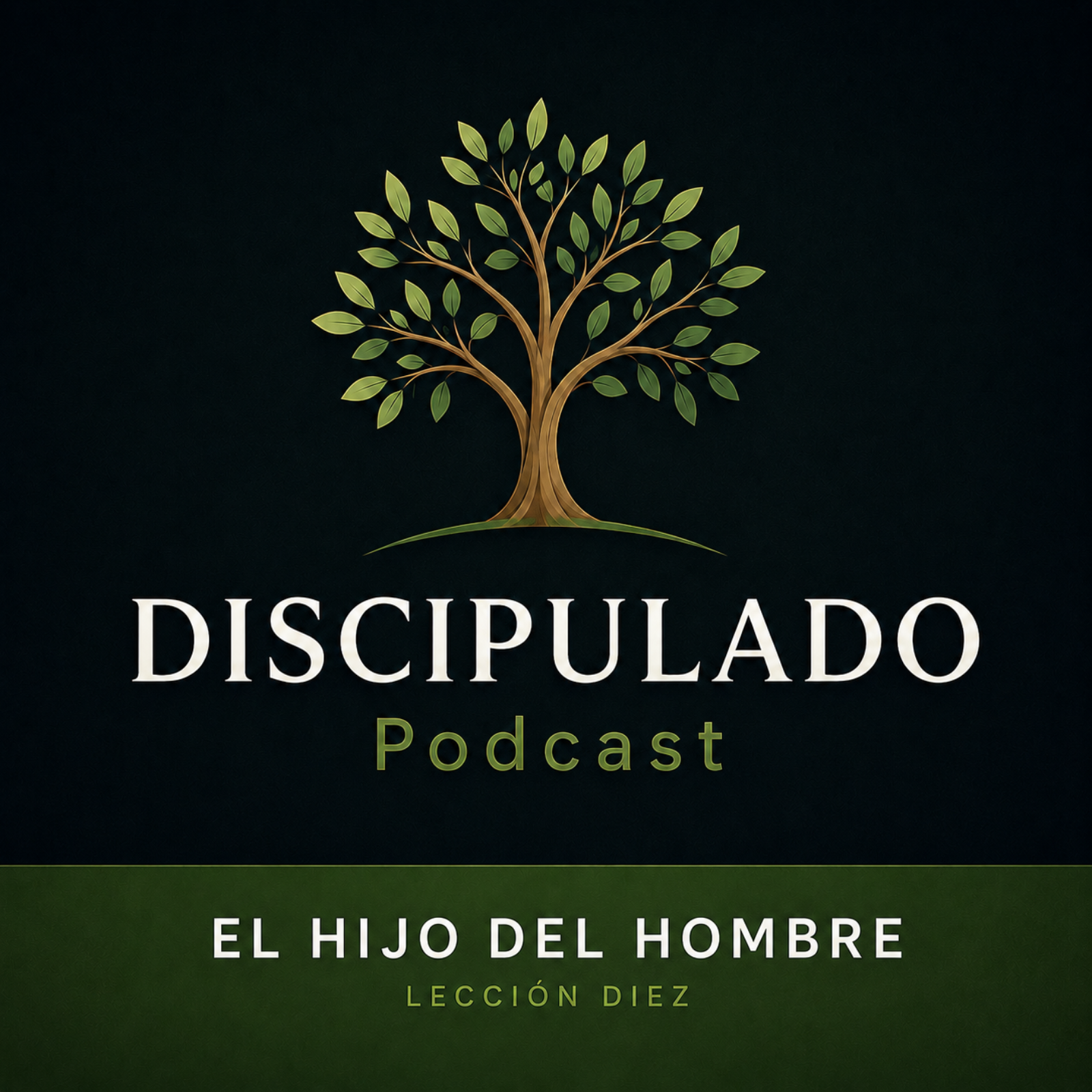 Lección 10 El Hijo del Hombre