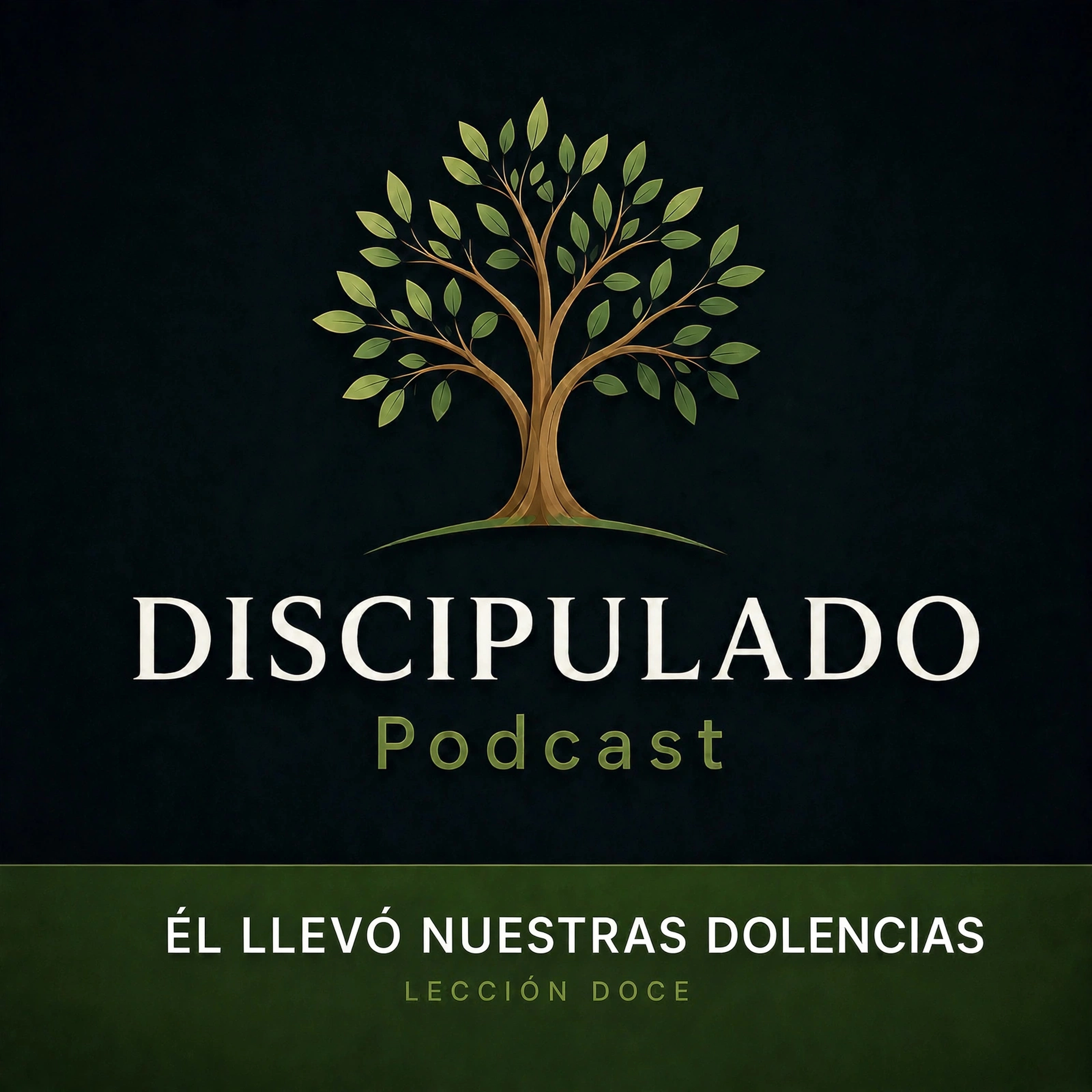 Lección 12 Él llevó nuestras dolencias
