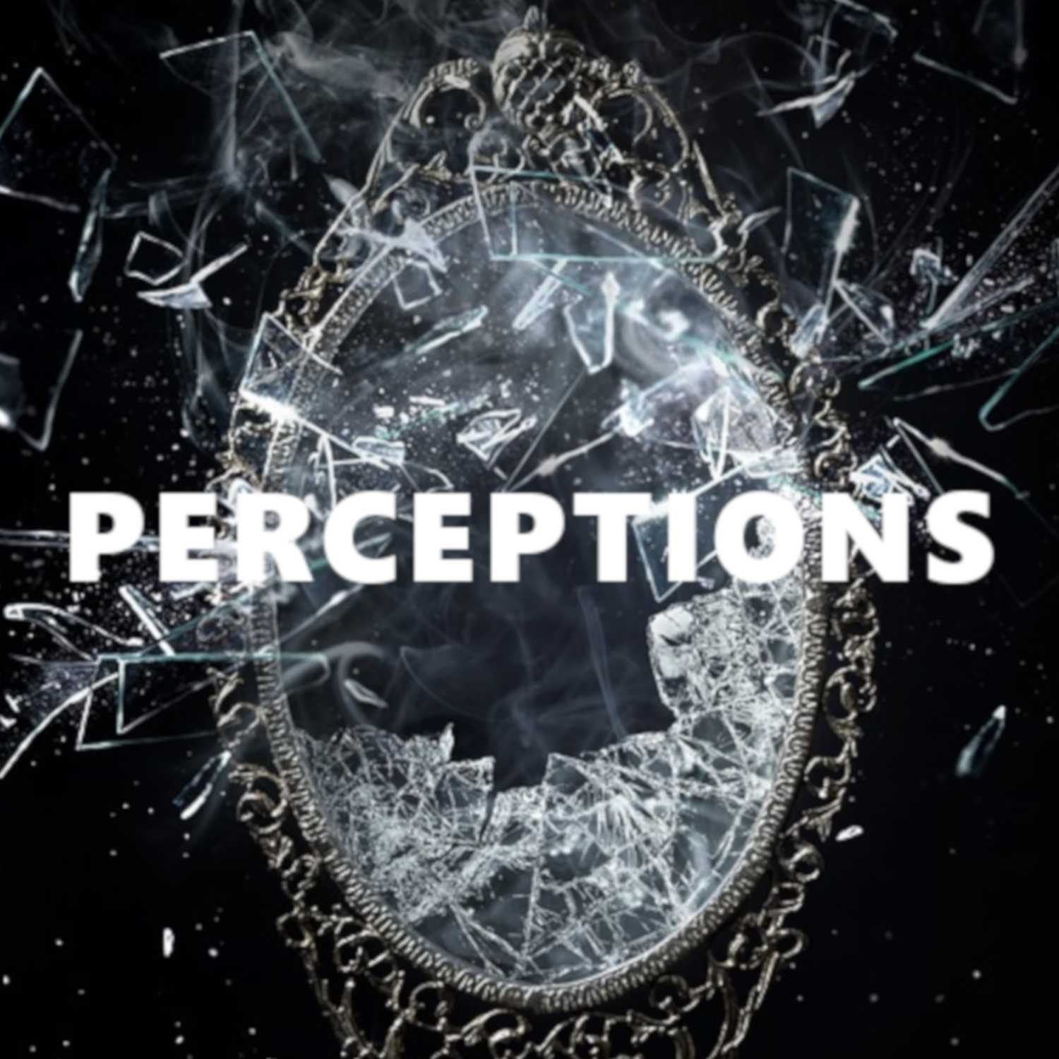PERCEPTIONS thumbnail