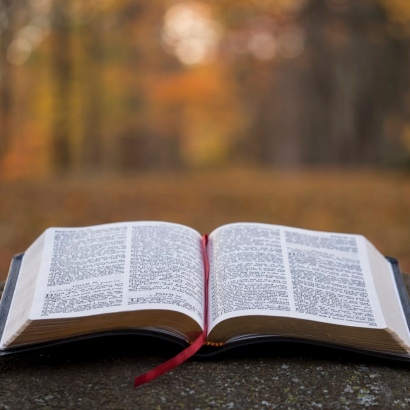 Foundlings and Awakenings