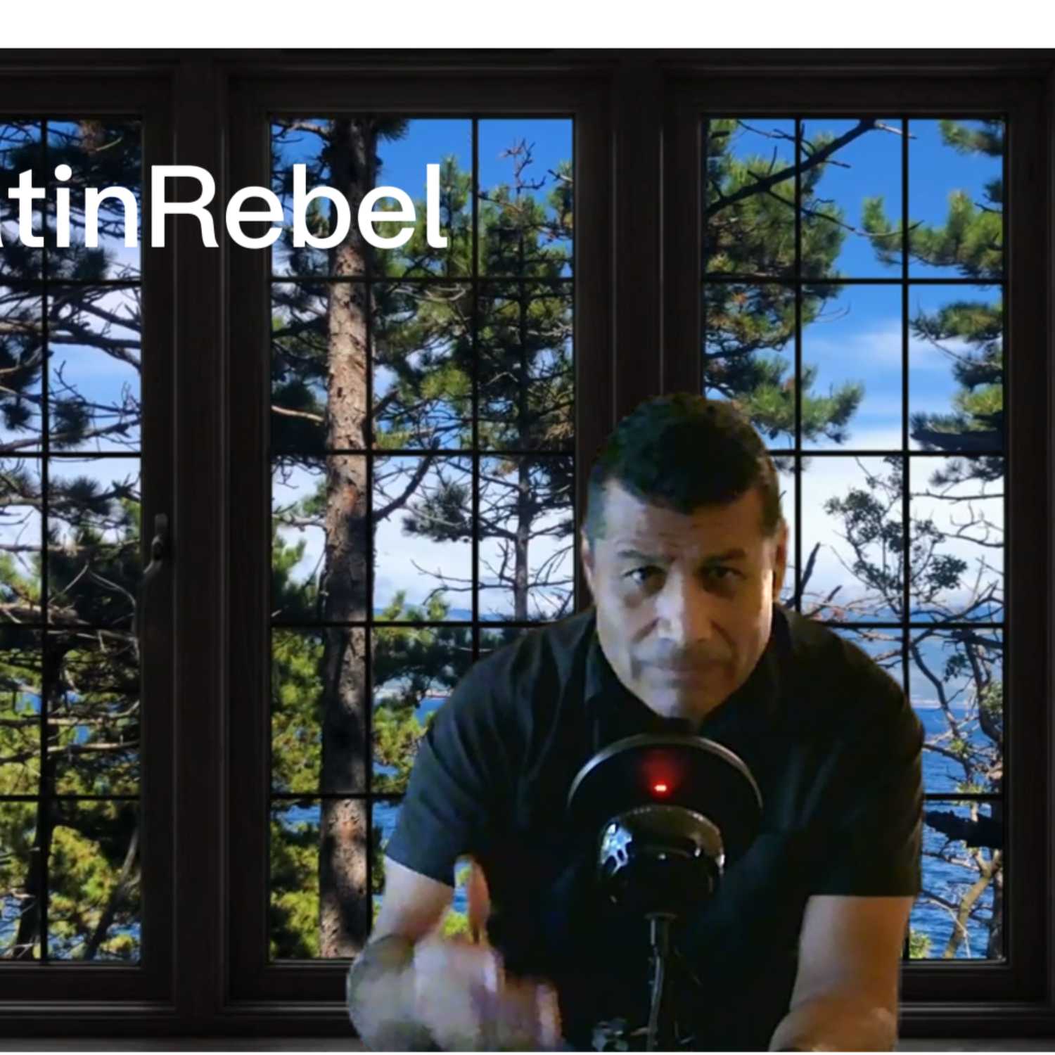LatinRebel