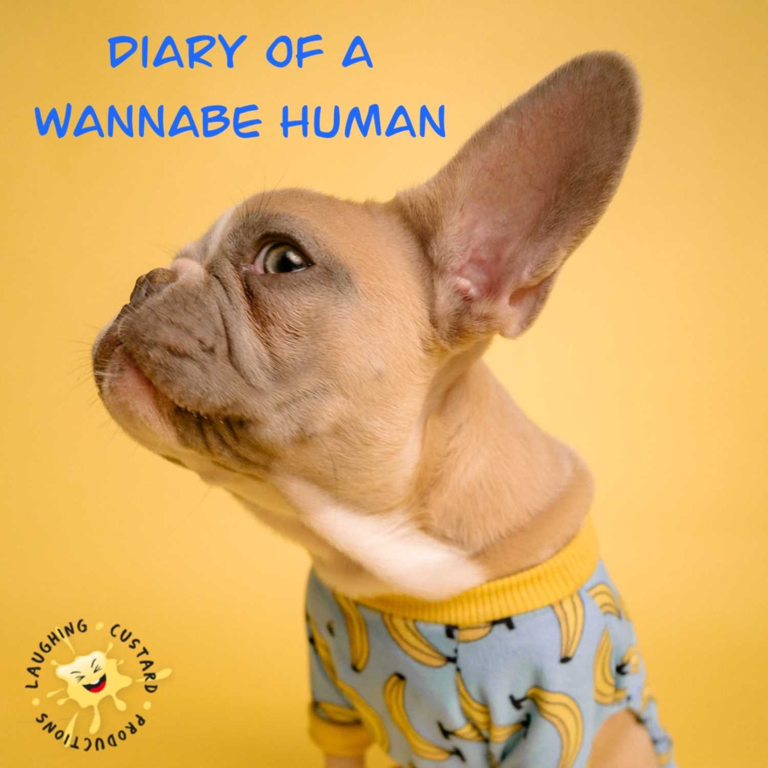 Diary of a Wannabe Comedian