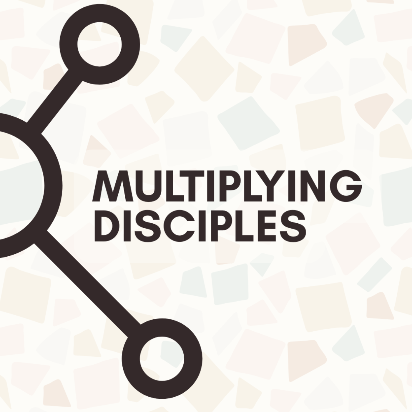 Multiplying Disciples  episode artwork