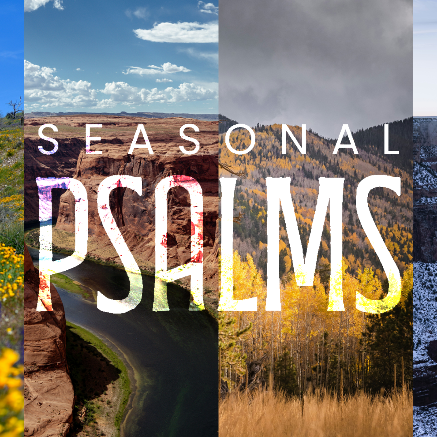 Seasonal Psalms: A Psalm of Praise  episode artwork