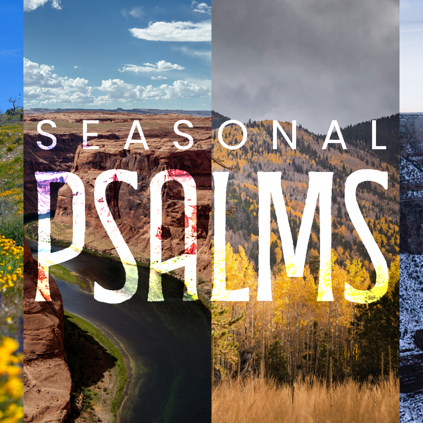 Seasonal Psalms: A Psalm of Petition episode artwork