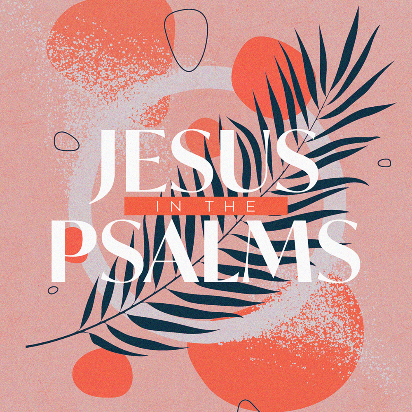 Jesus in the Psalms: Psalm 23  episode artwork