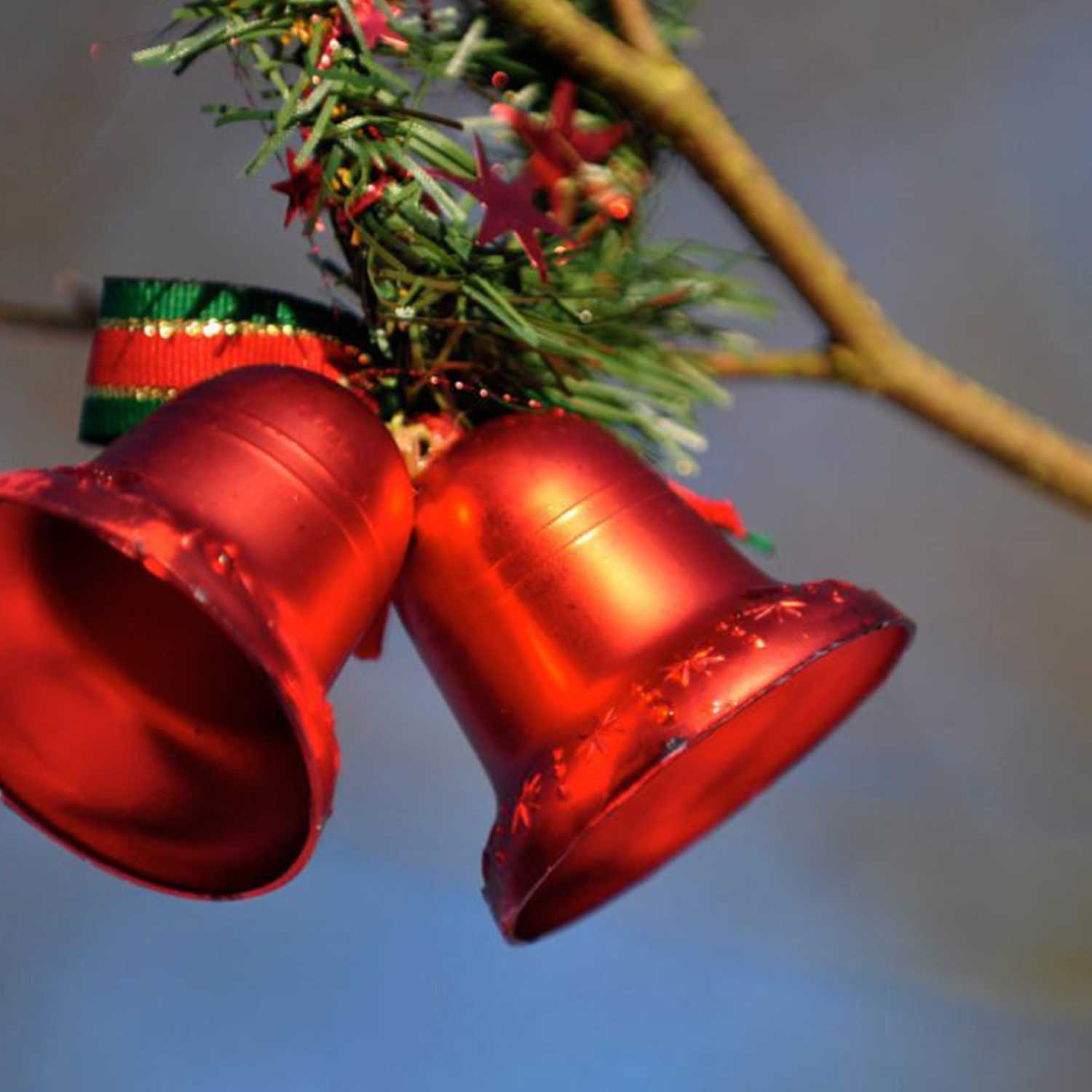 Weekly Devotion: December 20, 2021 "Christmas is for Times Like These"