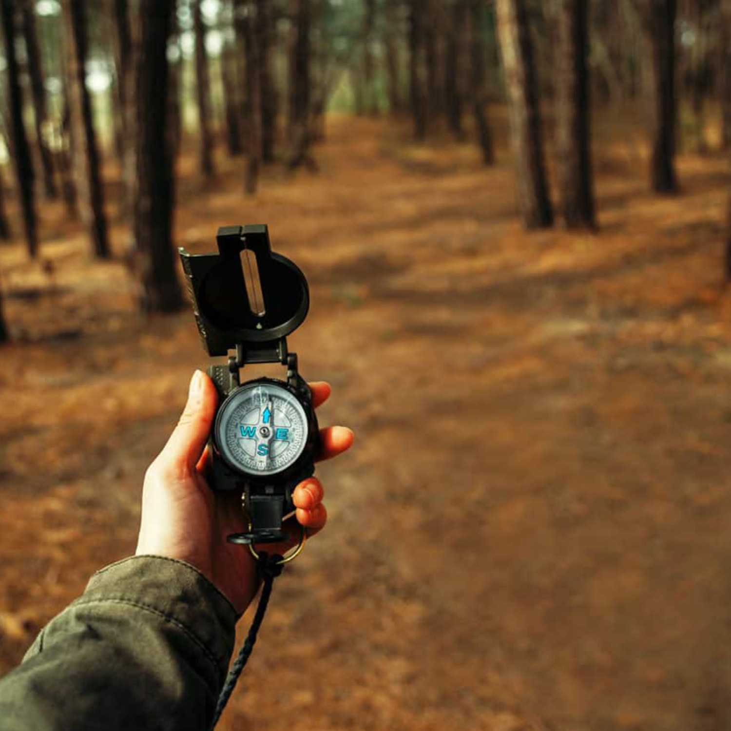 Weekly Devotion: January 31, 2022 "My God My Creator and Compass"