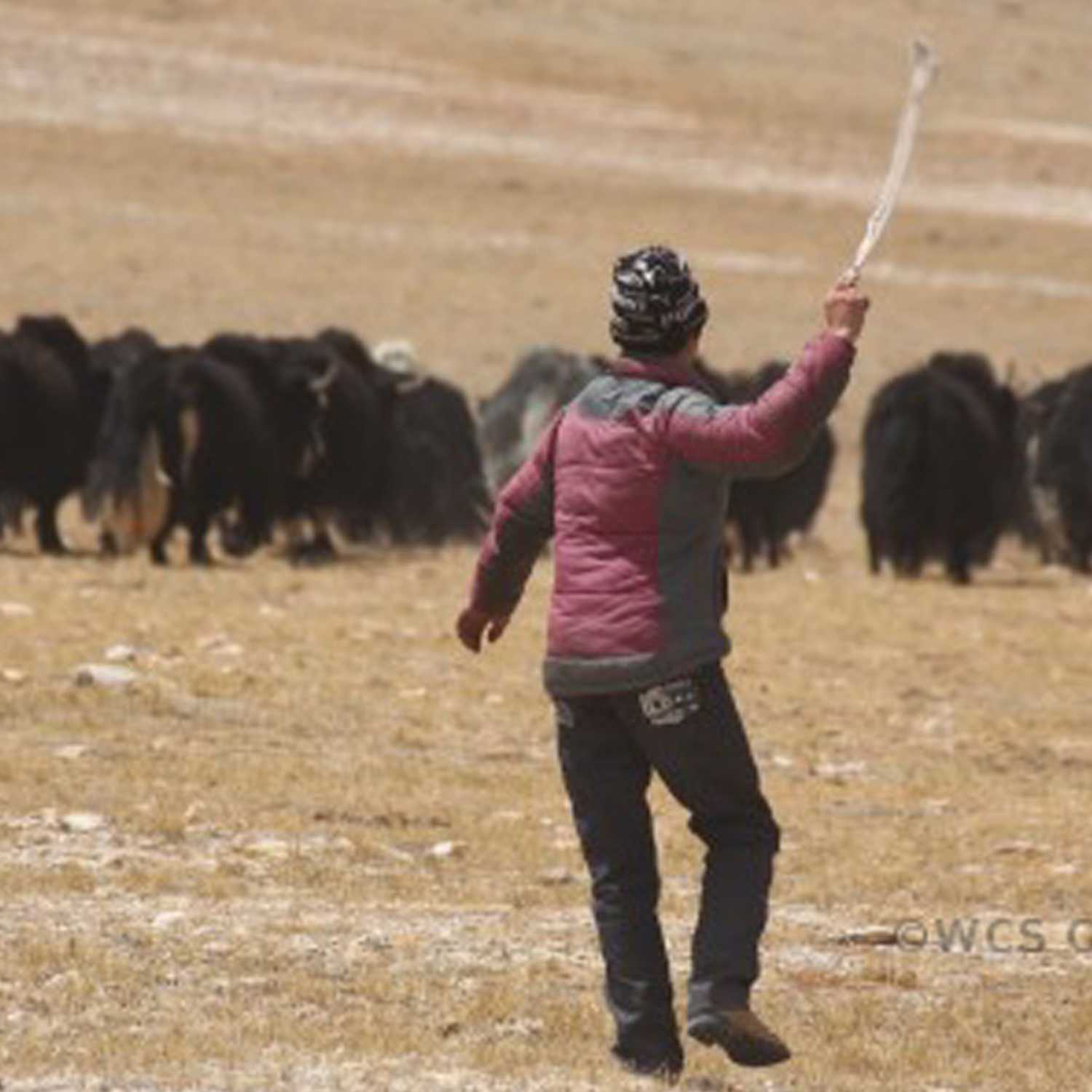 Convention Devotion "Joyful Proclaimers of the Gospel in a Changing World"