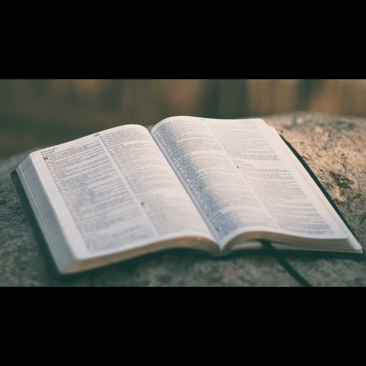 Convention Devotion: "Let the Word of Christ Dwell in You Richly"