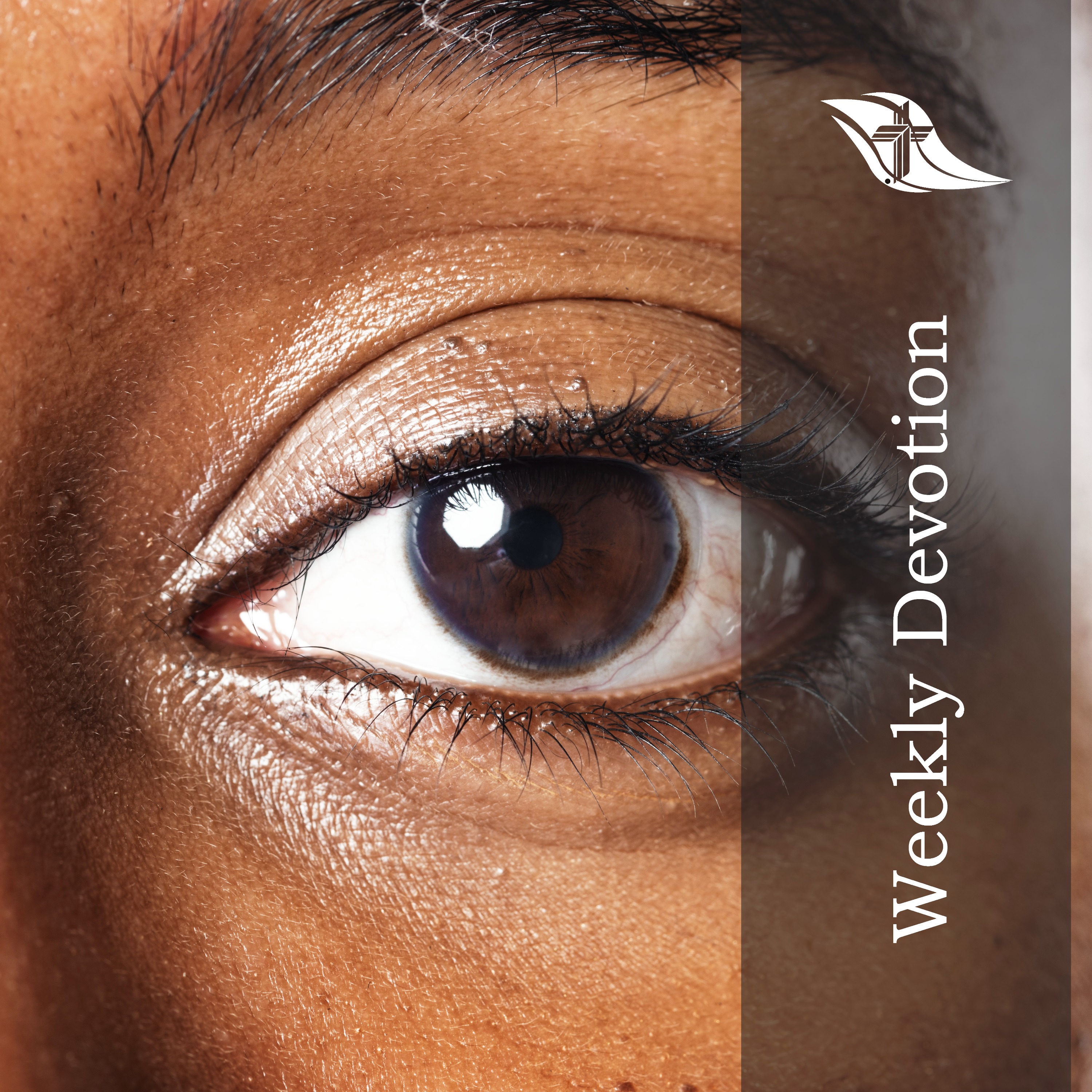 Weekly Devotion: June 16, 2025 "Perfect Vision"