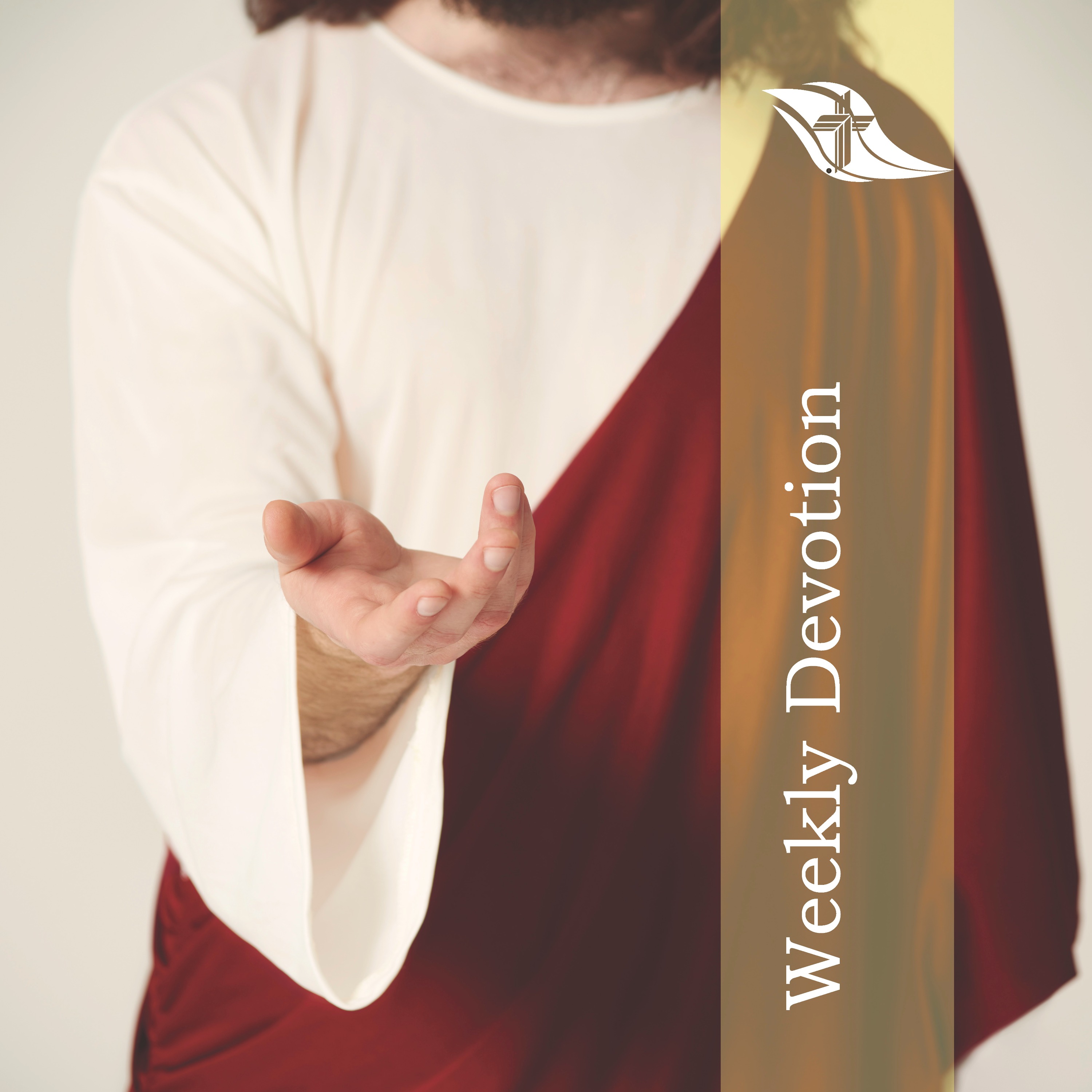 Weekly Devotion: October 27, 2025 "That You May Believe"