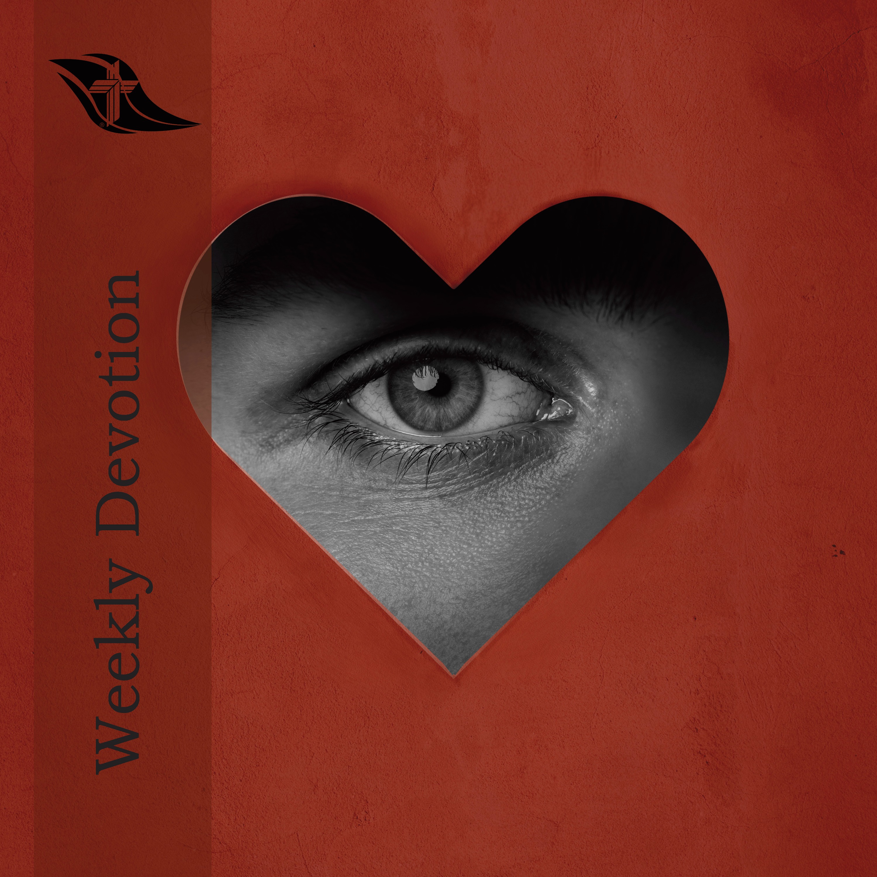 Weekly Devotion: November 10, 2025 "See"