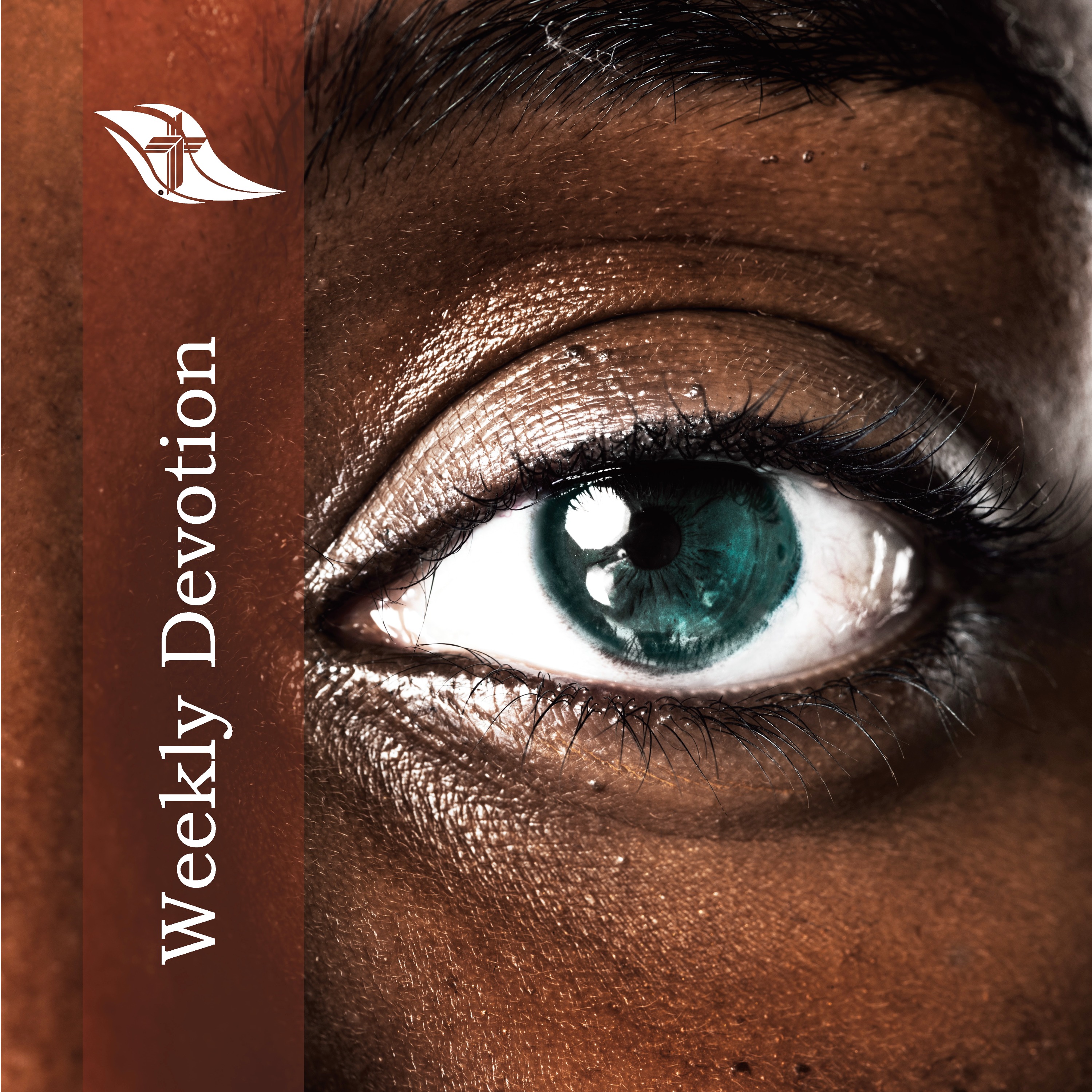 Weekly Devotion: December 8, 2025 "What do you see?"