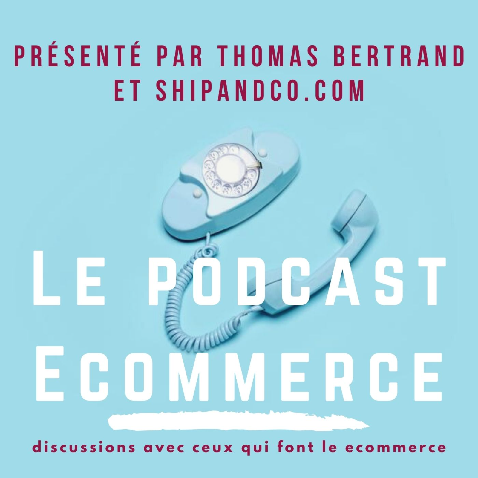 Le Podcast Ecommerce podcast artwork