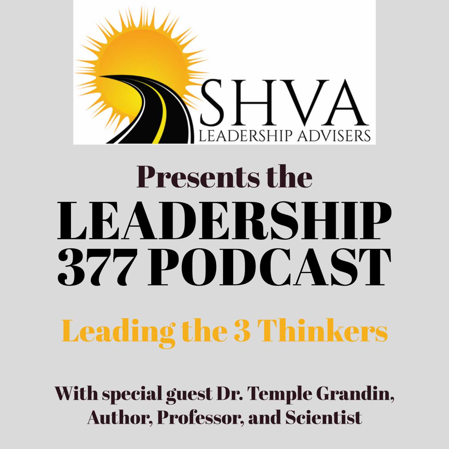 Leadership 377 Podcast