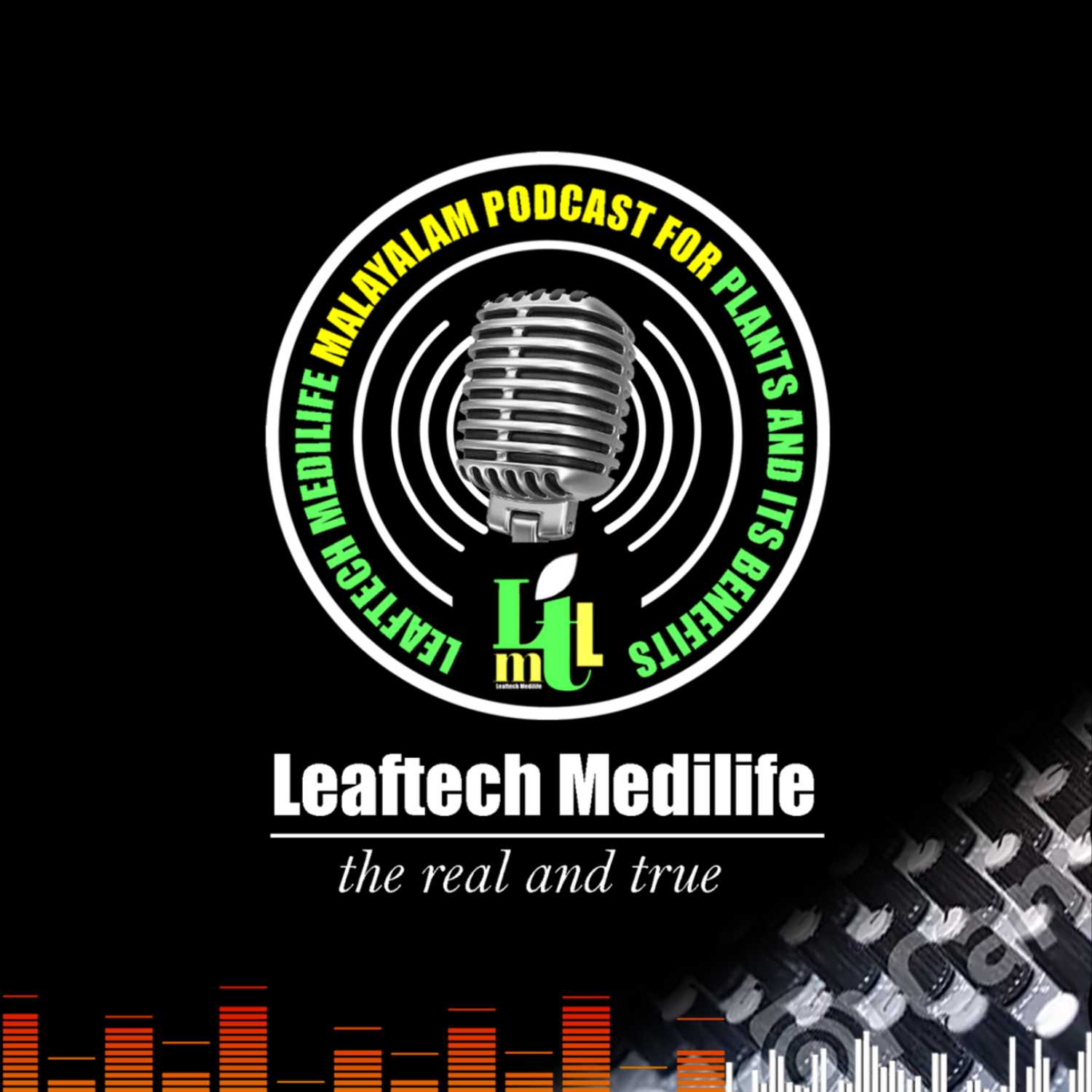 What do you do if you lose your vision? What you should do to avoid vision loss Let's listen... episode artwork
