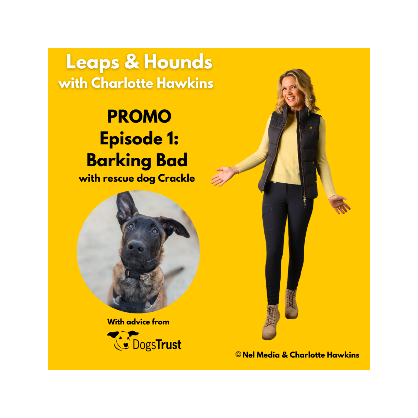 Leaps and Hounds with Charlotte Hawkins