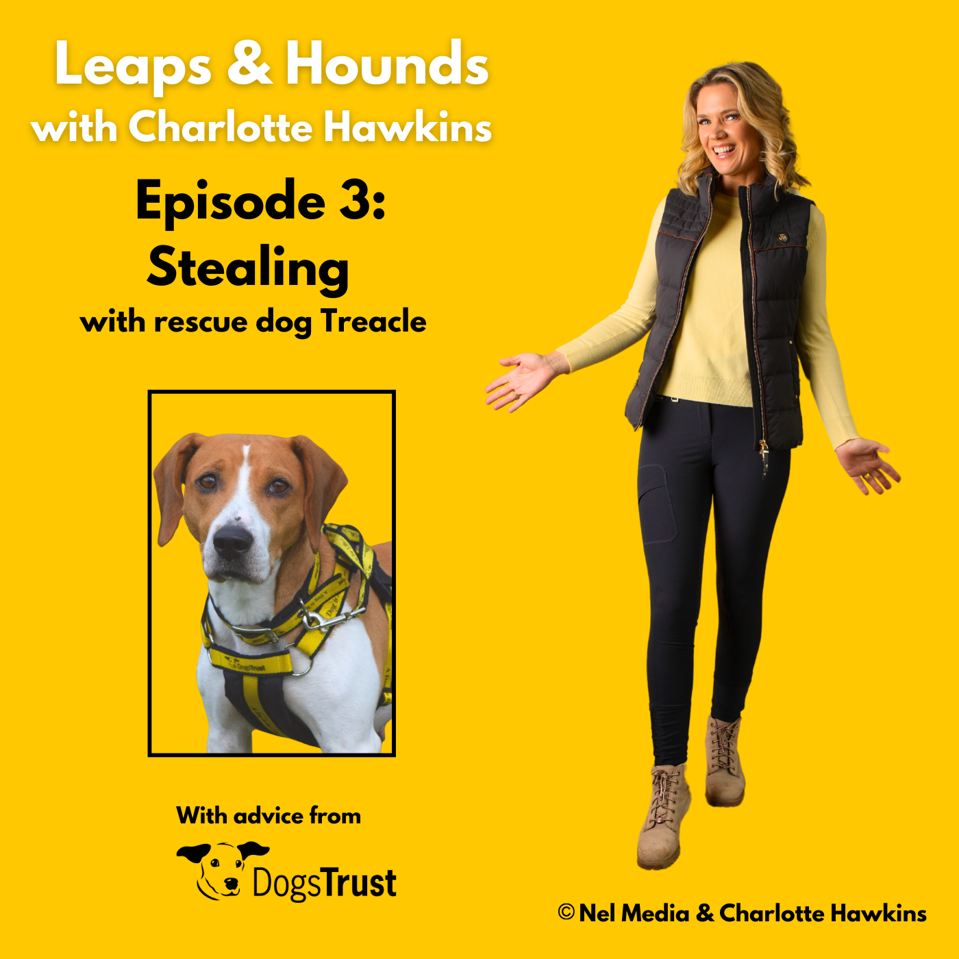 Leaps and Hounds with Charlotte Hawkins