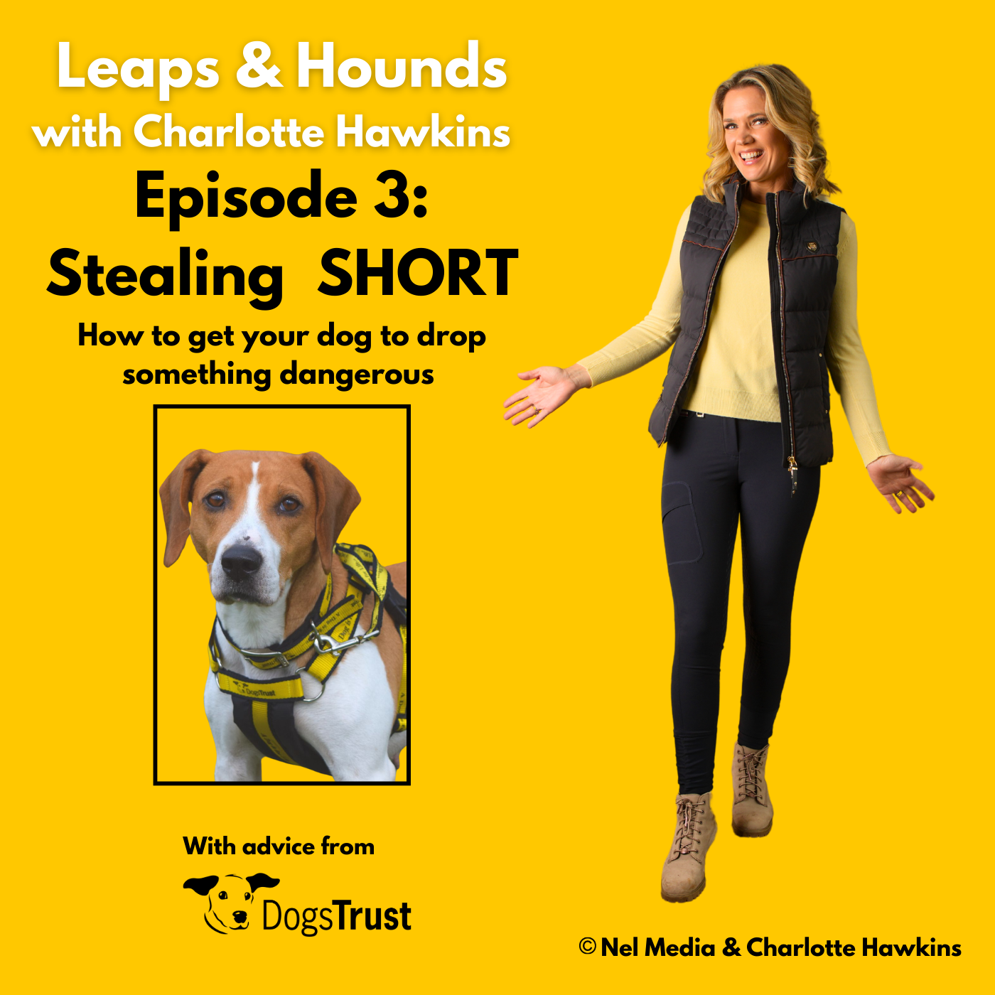 Leaps and Hounds with Charlotte Hawkins