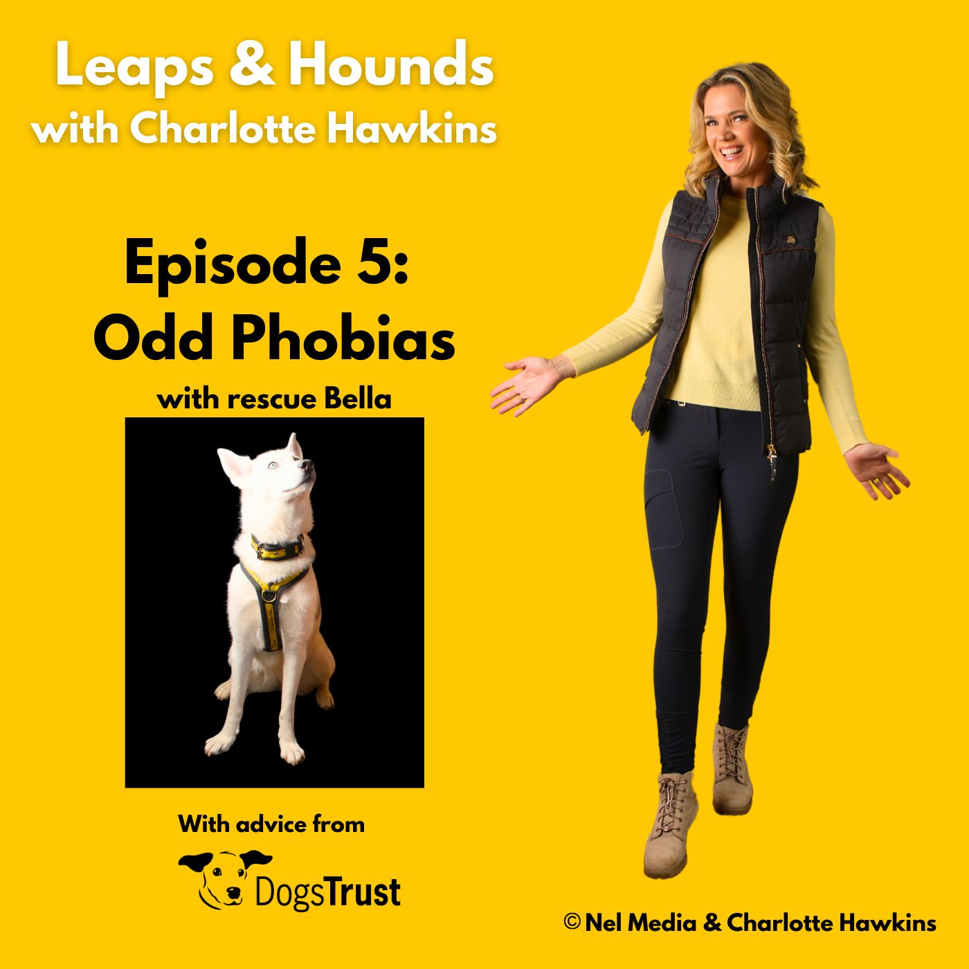 Leaps and Hounds with Charlotte Hawkins