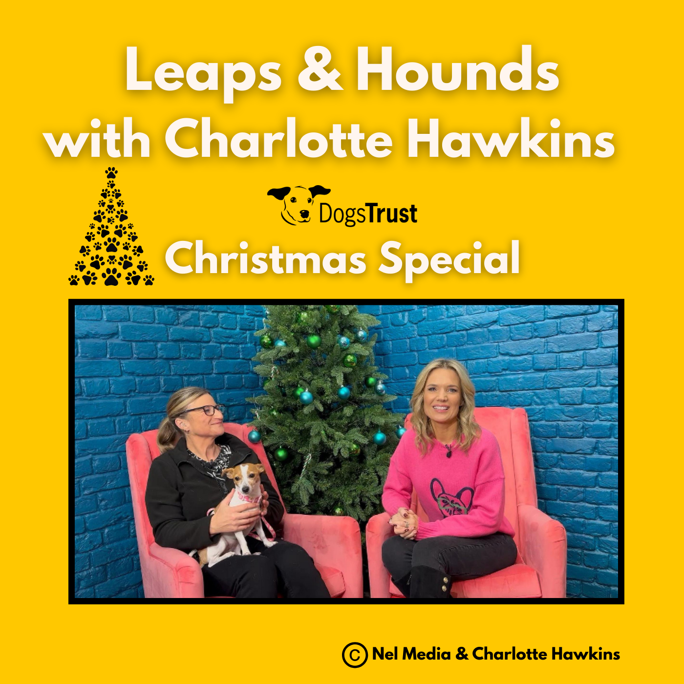Leaps and Hounds with Charlotte Hawkins