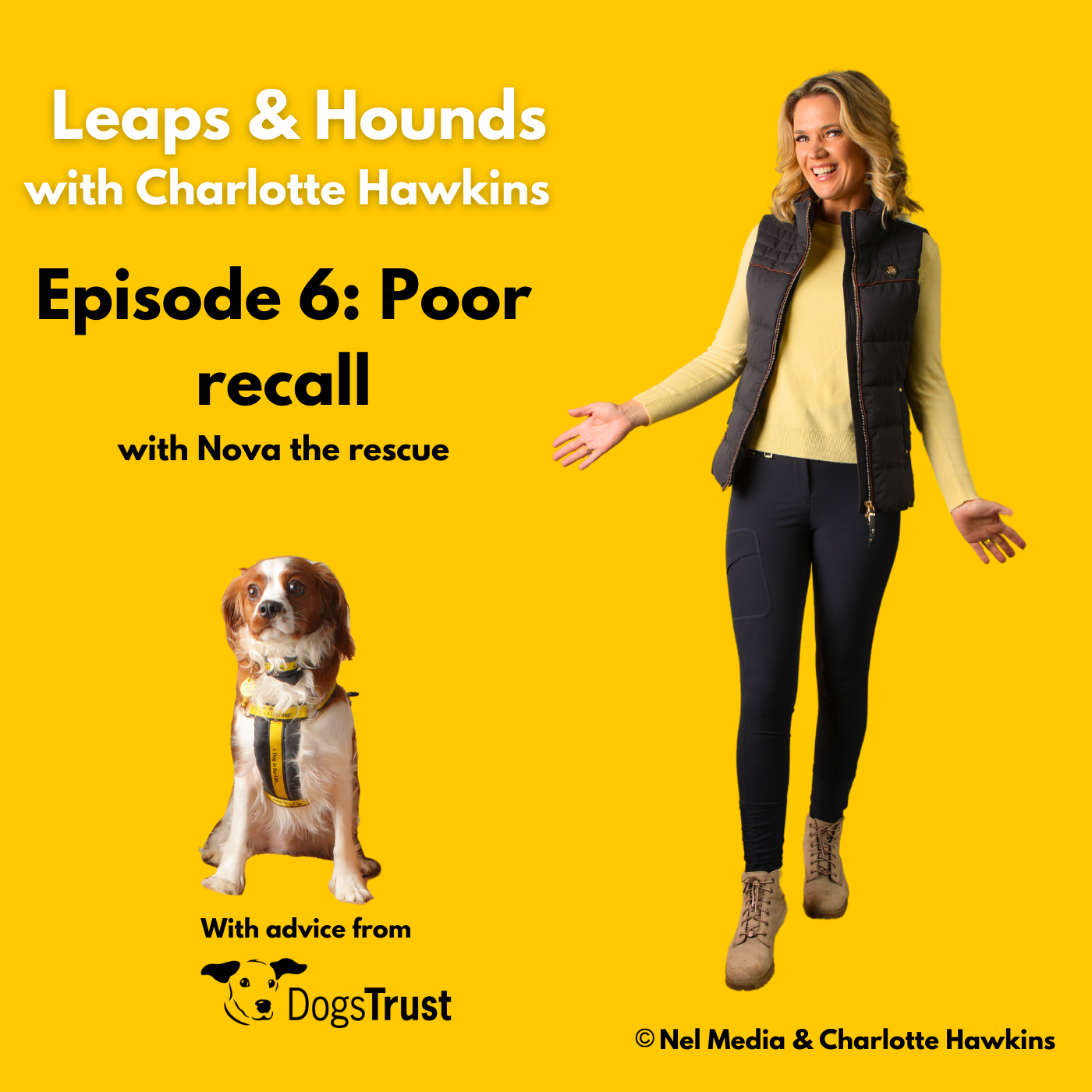 Leaps and Hounds with Charlotte Hawkins