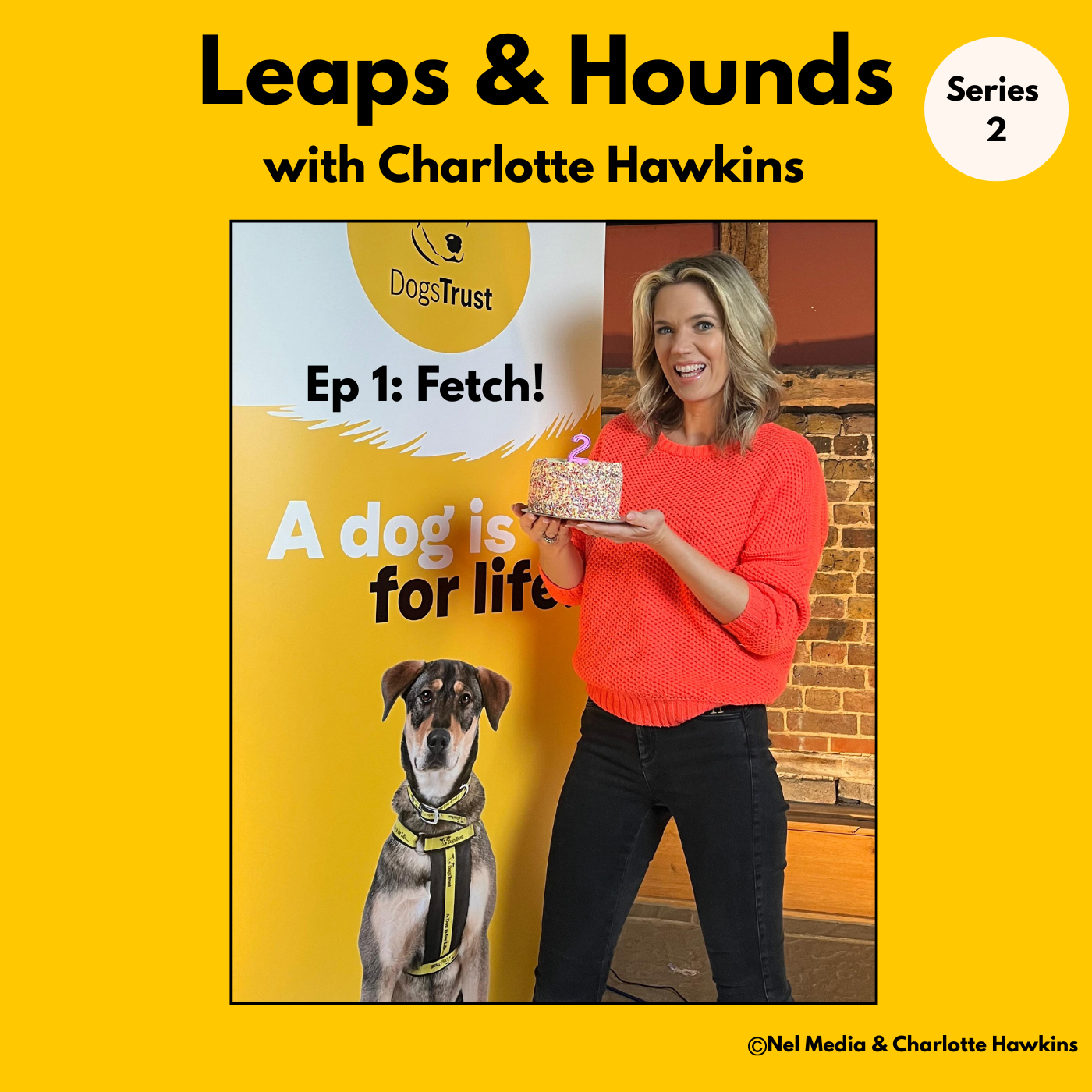 Leaps & Hounds: Series 2 – episode 1 – my dog won’t play fetch