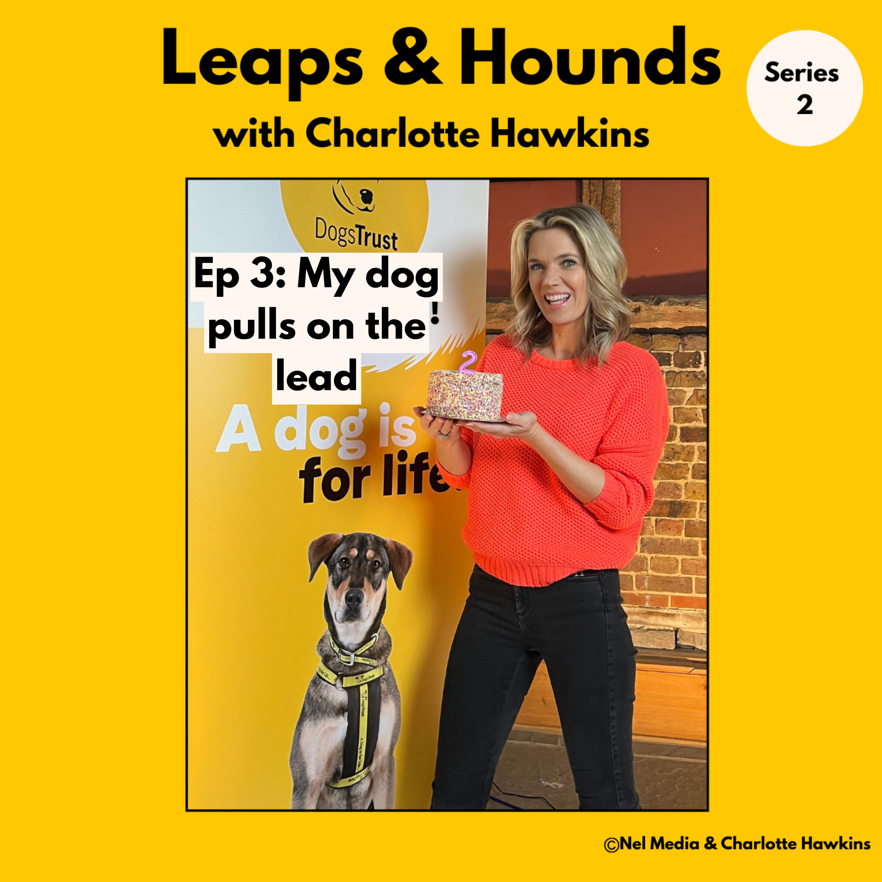Leaps and Hounds with Charlotte Hawkins