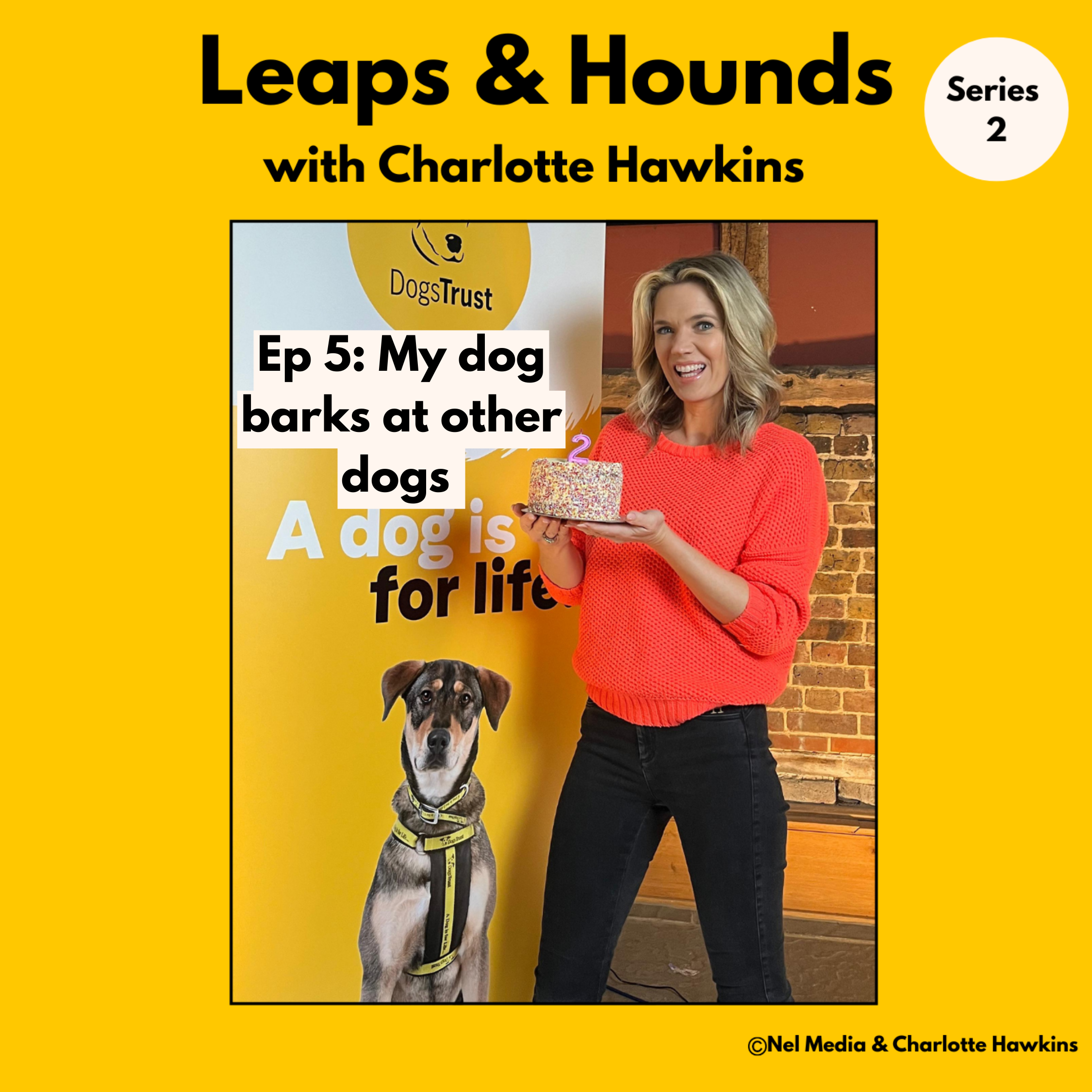 Leaps and Hounds with Charlotte Hawkins