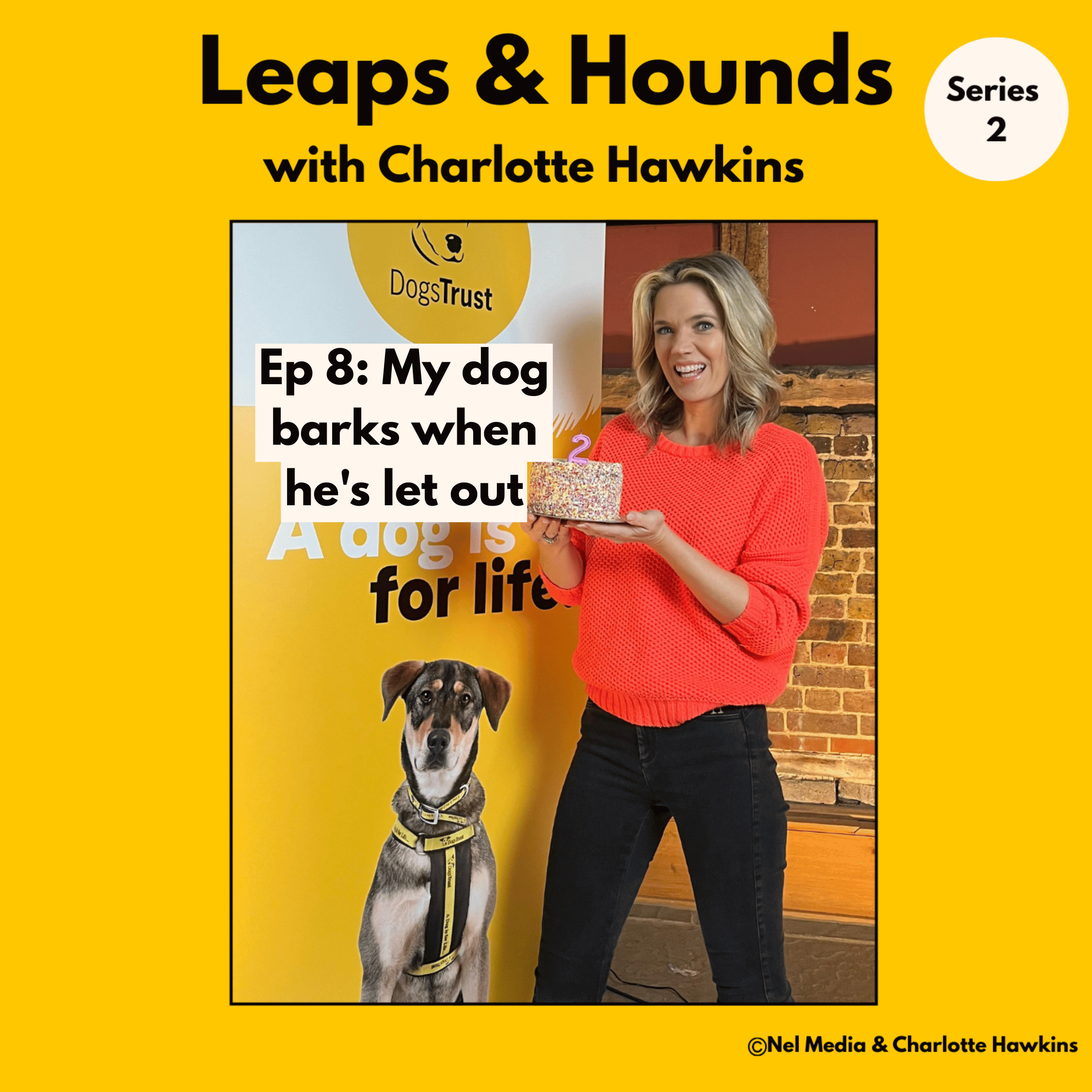 8. Help! My dog barks when he’s let out @leapsandhoundspodcast