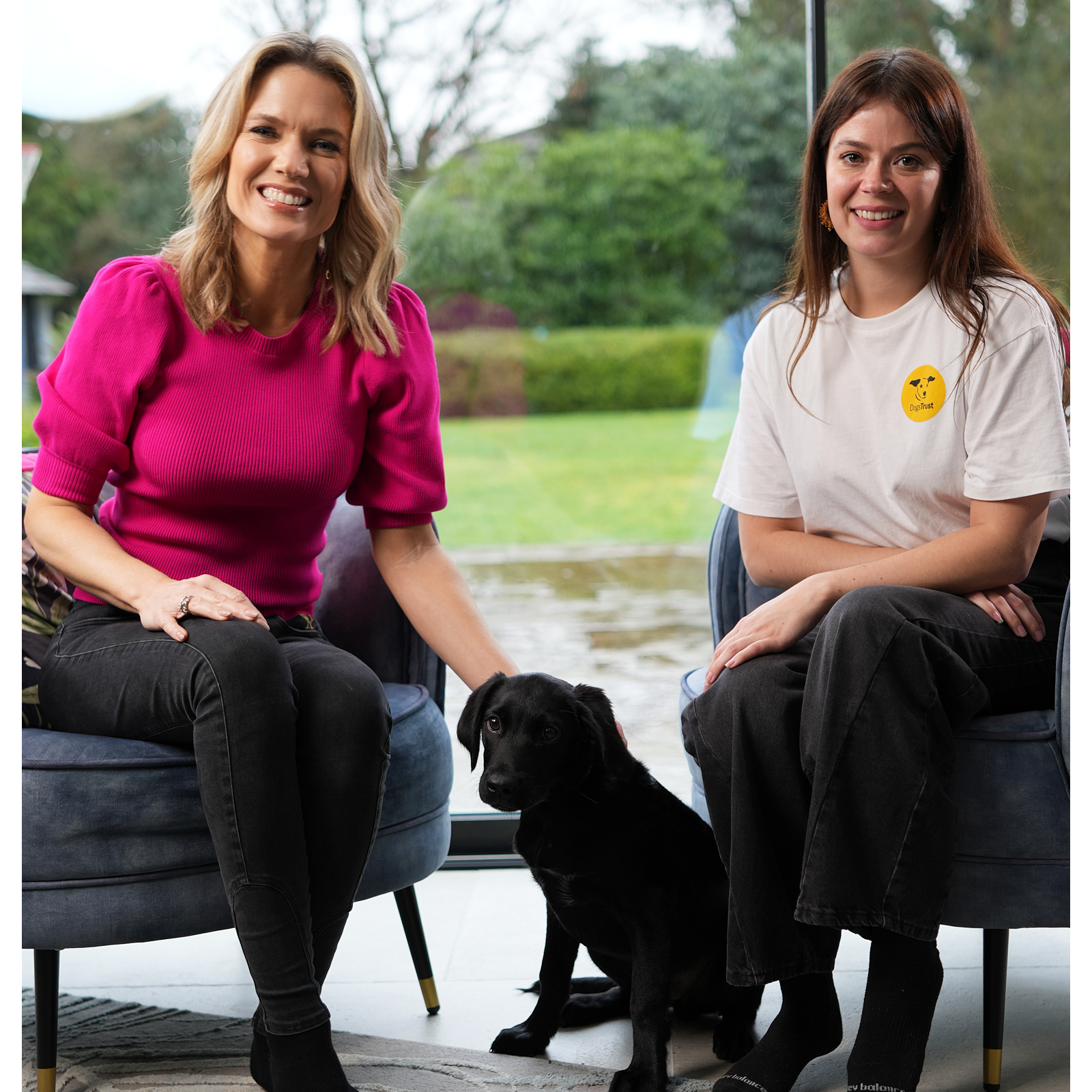 4. Puppy socialising with @dogstrust and Charlotte Hawkins for @leapsandhoundspodcast episode artwork