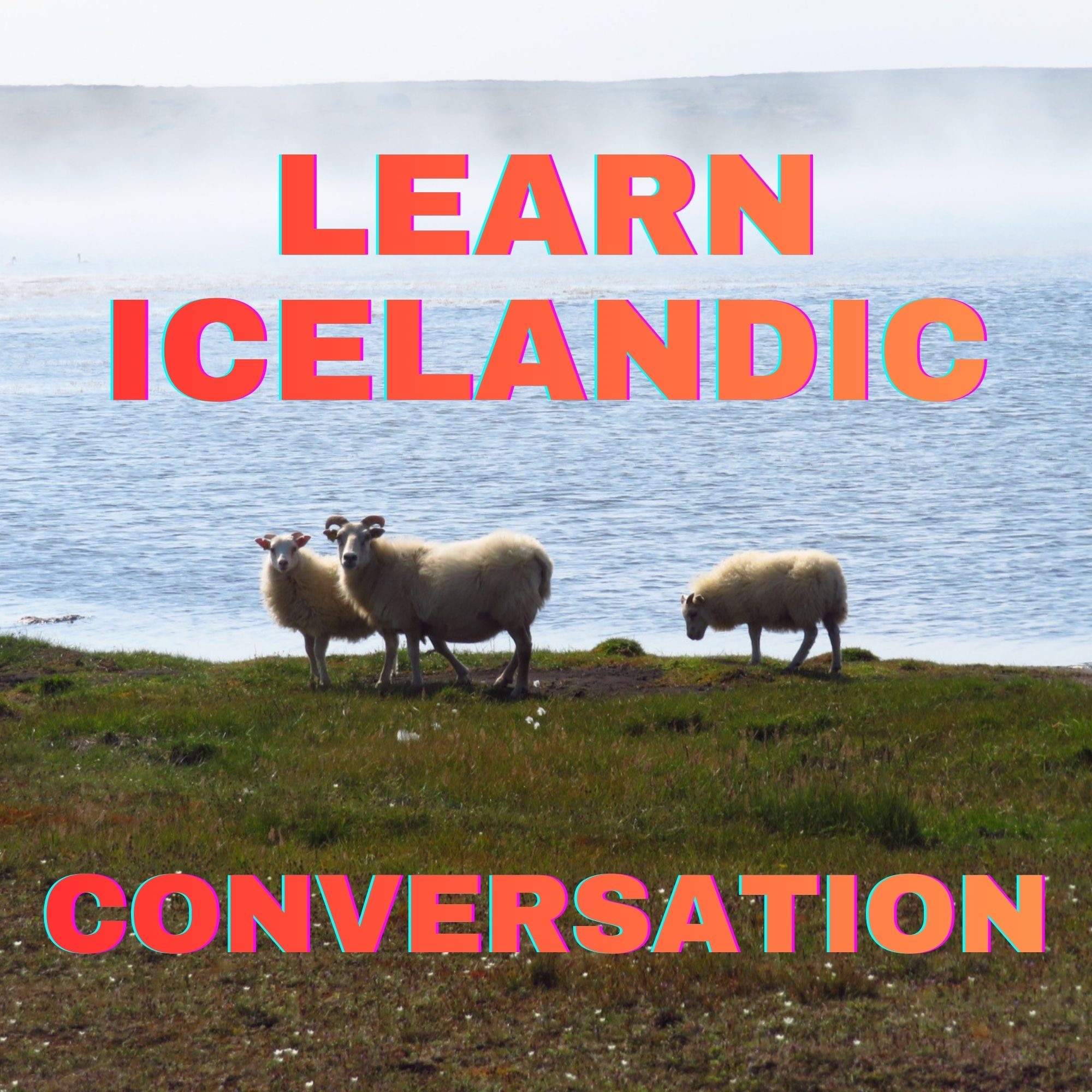 4. Hvað heitir þú? Saying your name and some politeness phrases episode artwork
