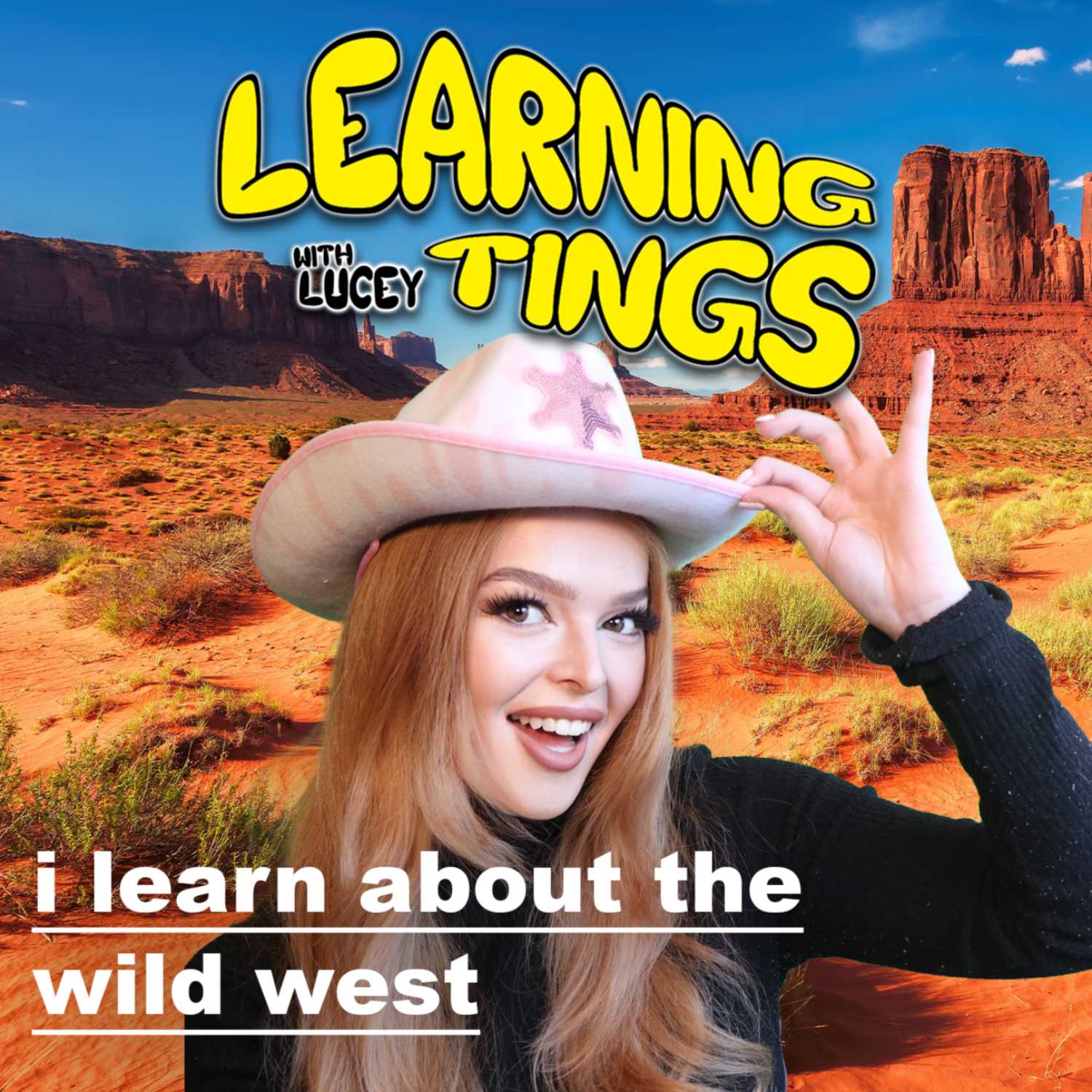 The Wild Wild West The Wild Wild West